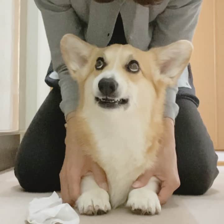 さゆりのインスタグラム：「◡̈⋆2021.1.28.Thu.◡̈⋆ I'll clean your ears. 😅👌 * お耳掃除 うっとり 気持ちいい🤤😅🤣✌️ * * * * * * * *」
