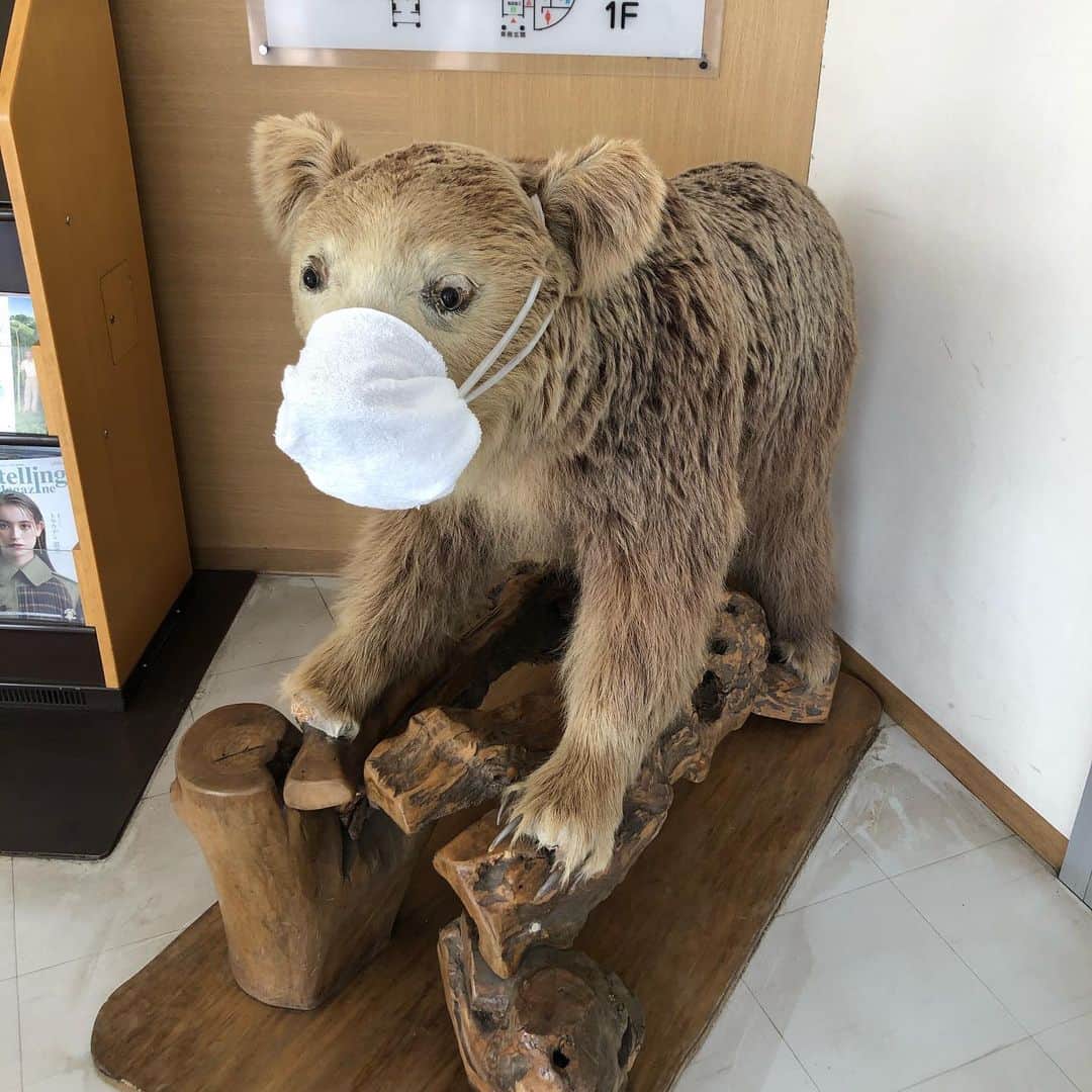 山口森広のインスタグラム：「#北海道 #移動中 #クマもマスク」