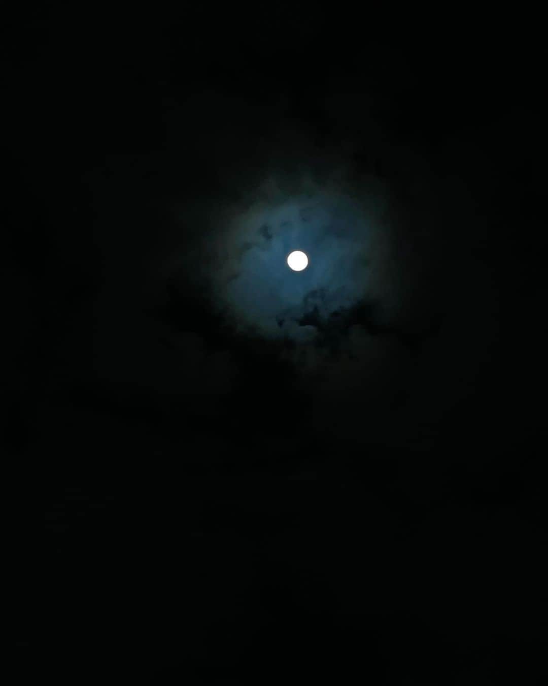 舘野将平さんのインスタグラム写真 - (舘野将平Instagram)「昨夜は満月でしたね🌕 iPhone12で撮ってみました📱 月の光もこんなにも力強く輝いてるのですね😌  #満月 #iphone12」1月28日 12時19分 - shohei_tateno_921