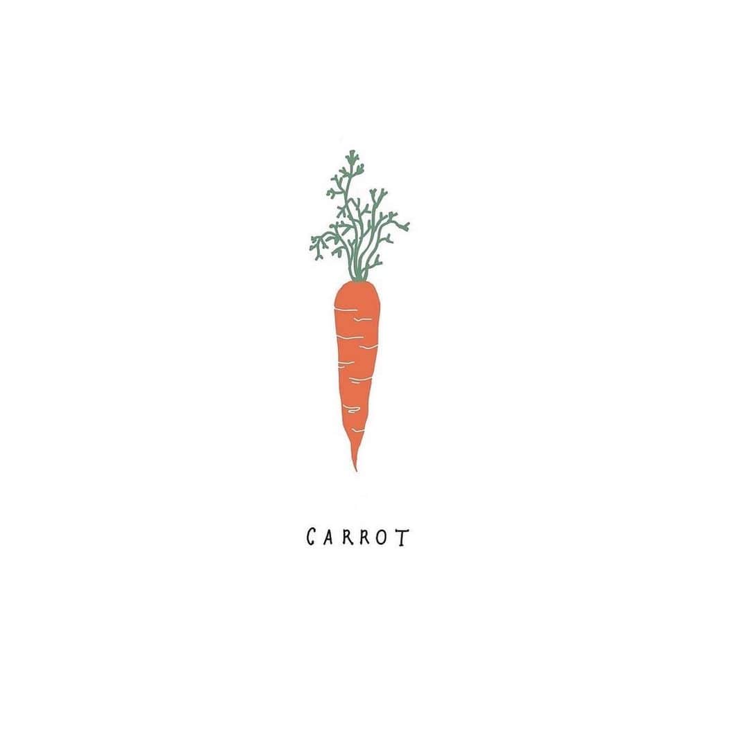 moekoさんのインスタグラム写真 - (moekoInstagram)「🌿🎈🥑🥕 ㅤㅤㅤㅤㅤㅤㅤㅤㅤㅤㅤㅤㅤ  ラディッシュかわいい🌿🎈 ㅤㅤㅤㅤㅤㅤㅤㅤㅤㅤㅤㅤㅤ #radish #avocado #carrot #illust #illustration」1月28日 12時35分 - moeko_dr