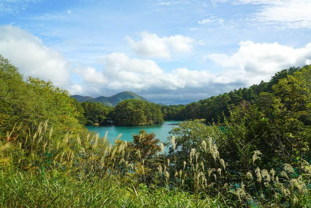 MagicalTripのインスタグラム：「Hello! This is MagicalTrip @magicaltripcom. Are you missing trips to Japan? Hopefully, sooner or later we will get to meet again! We are offering an ALL-NEW interactive hiking tour in Goshikinuma (Five-Colored Lake)  First photo: Goshiki-numa is a locals hideout surrounded by the colorful, and mysterious wild.  Second: Join your local guide on a trek through the lush colorful forests of Goshiki-numa.  Third: Tired? Well, this tour ends with a relaxing stop at a hot spring!  Stay tuned for more Fukushima tour announcements this week!  If you’re interested, please check out via our bio! @magicaltripcom  #magicaltrip #magicaltripcom #magicaltripjapan #fukushima #fukushimafood #fukushimatravel #fukushimalocal #discoverfukushima #iwaki #fukushimafoodguide #tokyotrip #tokyotravel #tokyotour #tokyotours #tokyolocal #discovertokyo #tokyojapan #tokyofoodie #tokyofoodies #tokyofoodporn #tokyofoodguide #tokyofoodtour #tokyofoodtrip #tokyofoodblogger #tokyofooddrinktour #tokyofoodfile #hotsprings #tokyofoodtour #japanfood #japanfoodie」