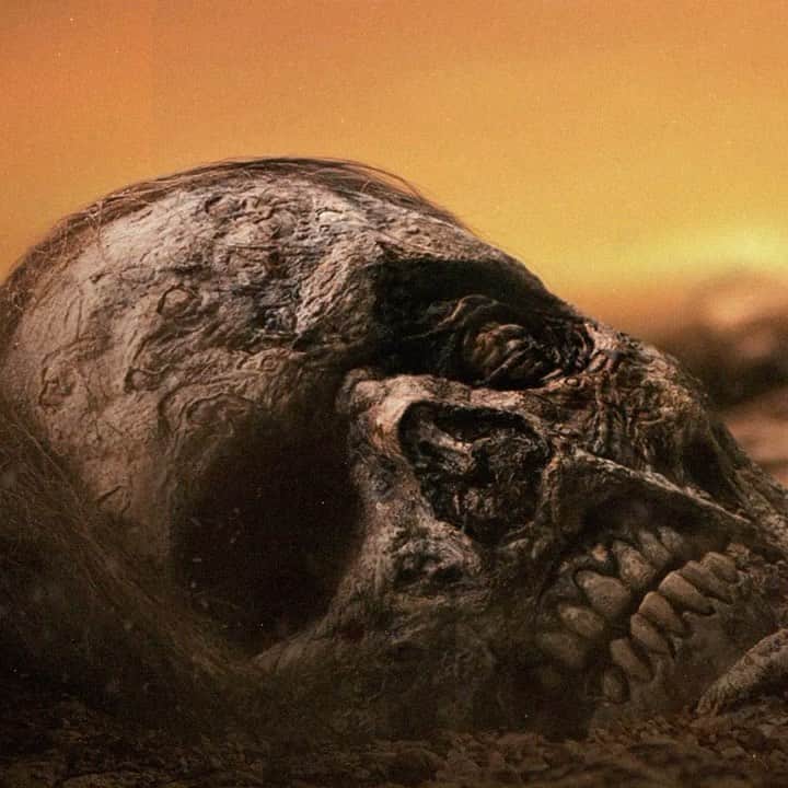 アイシャ・タイラーのインスタグラム：「Those of you who know me know I love the Walking Dead universe: the stories, the characters, their conflicts and triumphs. Oh yeah... and zombies. Lots and lots of zombies. And now I am stoked to announce I’m directing an episode in the upcoming season of Fear The Walking Dead. Cue excited zombie noises! Squeee-aaaarghhhhh! 🎥🧟‍♀️💥  Brand new season of @fearTWD debuts April 11 on @AMC_TV. It’s going to be transformational.」