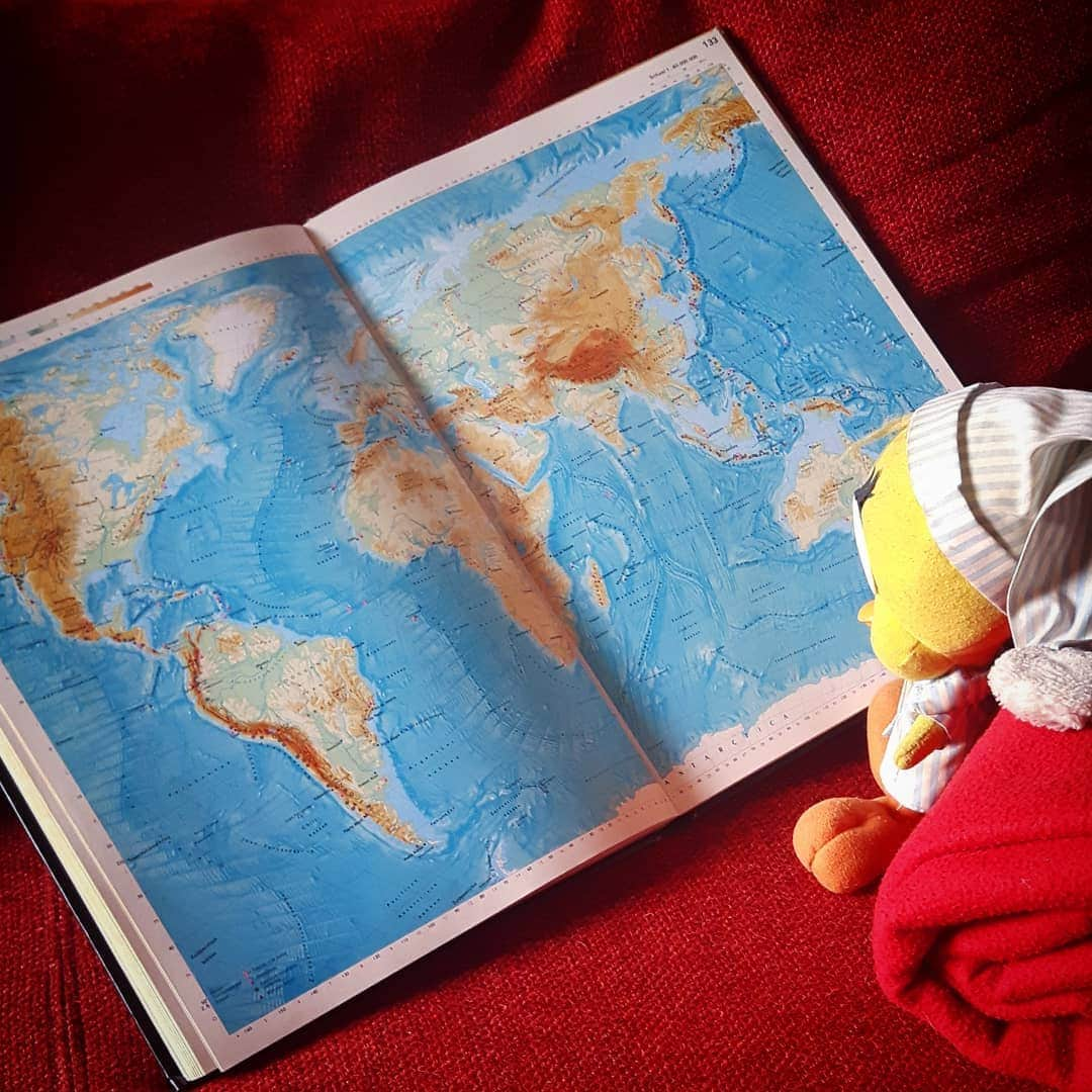 Little Yellow Birdさんのインスタグラム写真 - (Little Yellow BirdInstagram)「The world is your oyster, they say... Not with a certain virus around, it isn't... #littleyellowbird #tweety #tweetykweelapis #adventures #yellow #bird #world #wereld #map #theworldisyouroyster #fernweh #wanderlust #traveling #stupidvirus #lockdown #dreaming #stuffedanimalsofinstagram #plushiesofinstagram」1月28日 23時01分 - tweetykweelapis