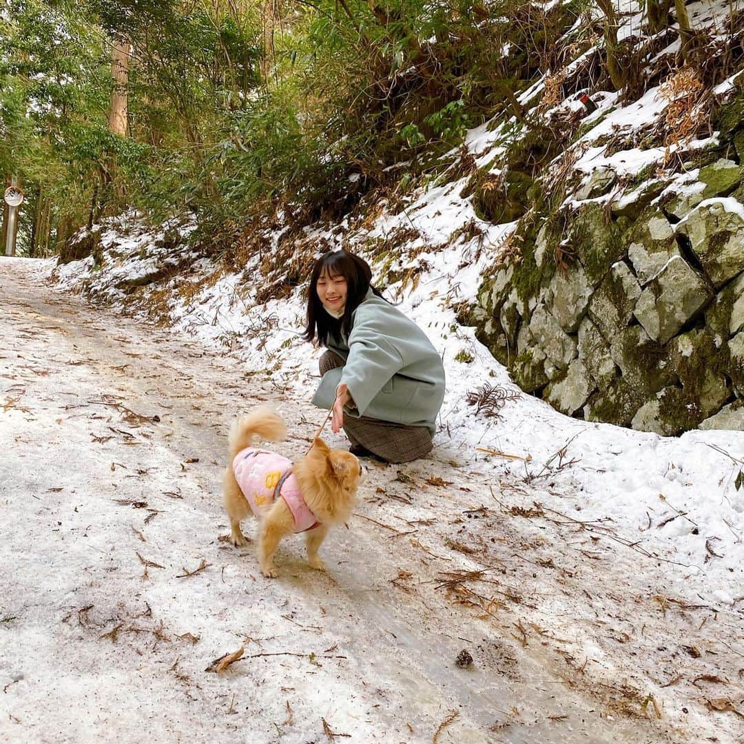 清原梨央さんのインスタグラム写真 - (清原梨央Instagram)「仲良ししてます🐕🐾 #愛犬 #チワワ #白猪の滝 #雪」1月28日 23時31分 - ___rioky001114