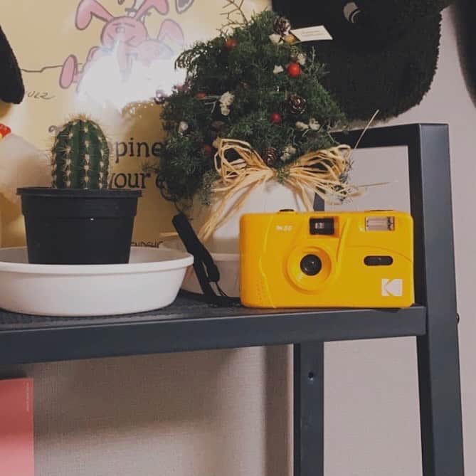 narumiのインスタグラム：「ㅤㅤㅤㅤㅤㅤㅤㅤㅤㅤㅤㅤㅤ ㅤㅤㅤㅤㅤㅤㅤㅤㅤㅤㅤㅤㅤ 成長しないサボちゃん🌵と、 季節外れのクリスマスツリー」