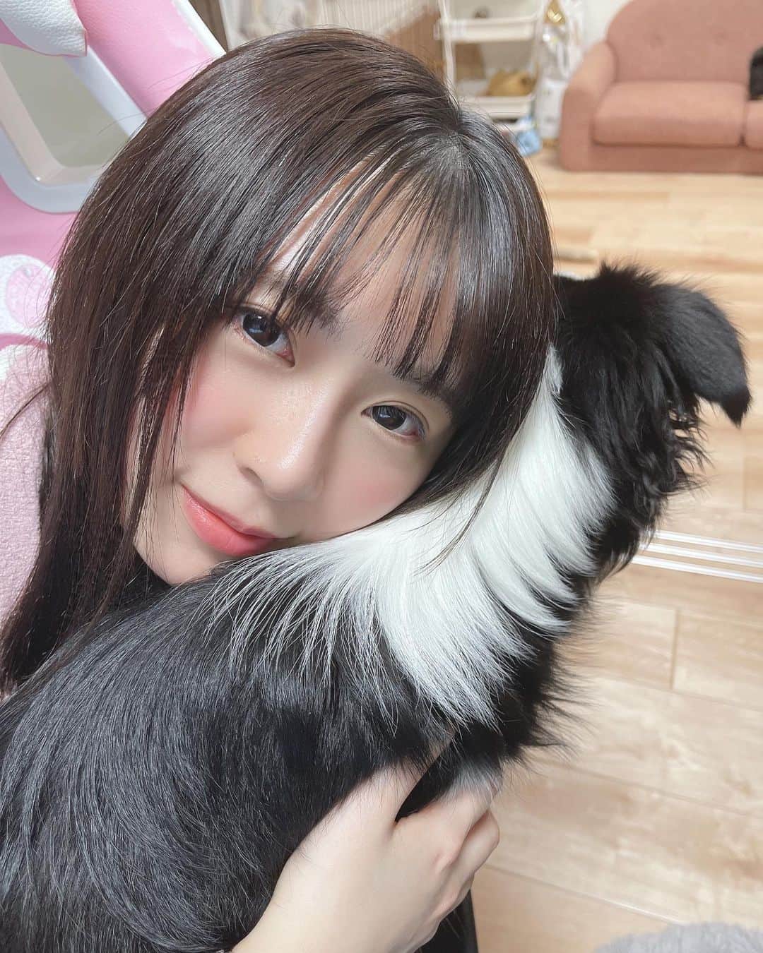 環奈（長沢菜々香の飼い犬）のインスタグラム：「おっきい」