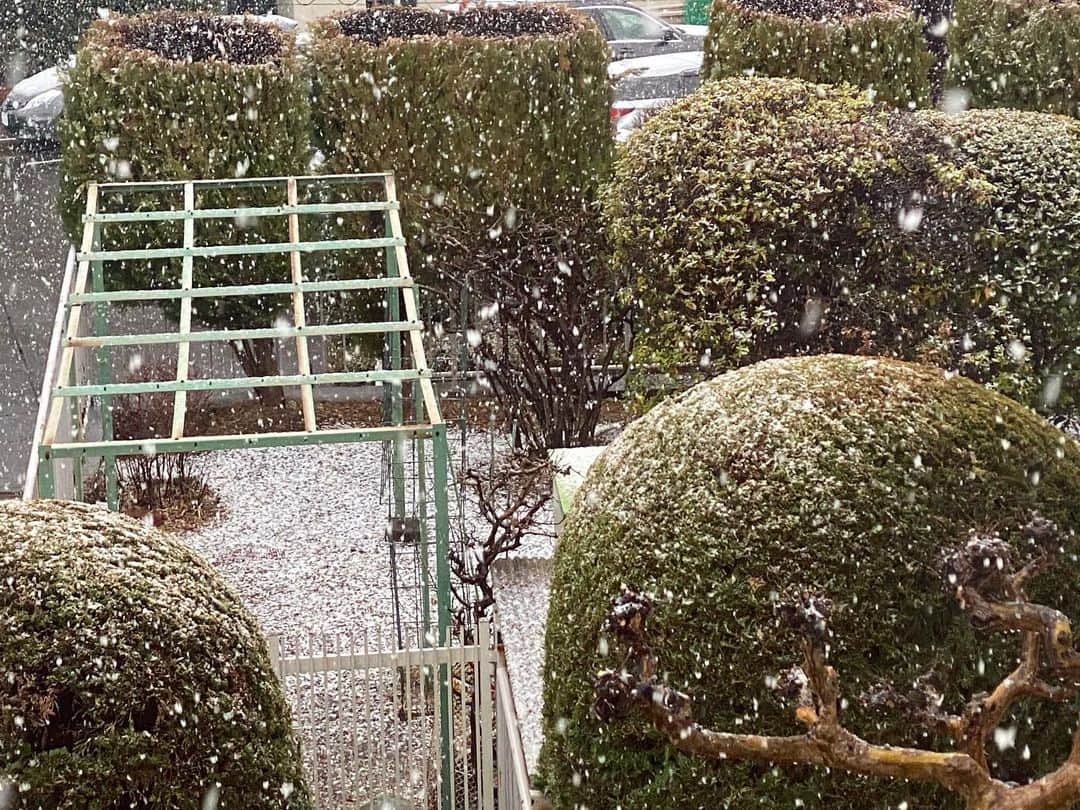 かねきよ勝則さんのインスタグラム写真 - (かねきよ勝則Instagram)「東京は雪。 猫でも無いしコタツも無いけど、ただただ丸くなるか。  #東京 #雪 #猫 #コタツ #丸くなる #新宿カウボーイ #かねきよ」1月28日 15時27分 - shinjyukucowboy_kanekiyo