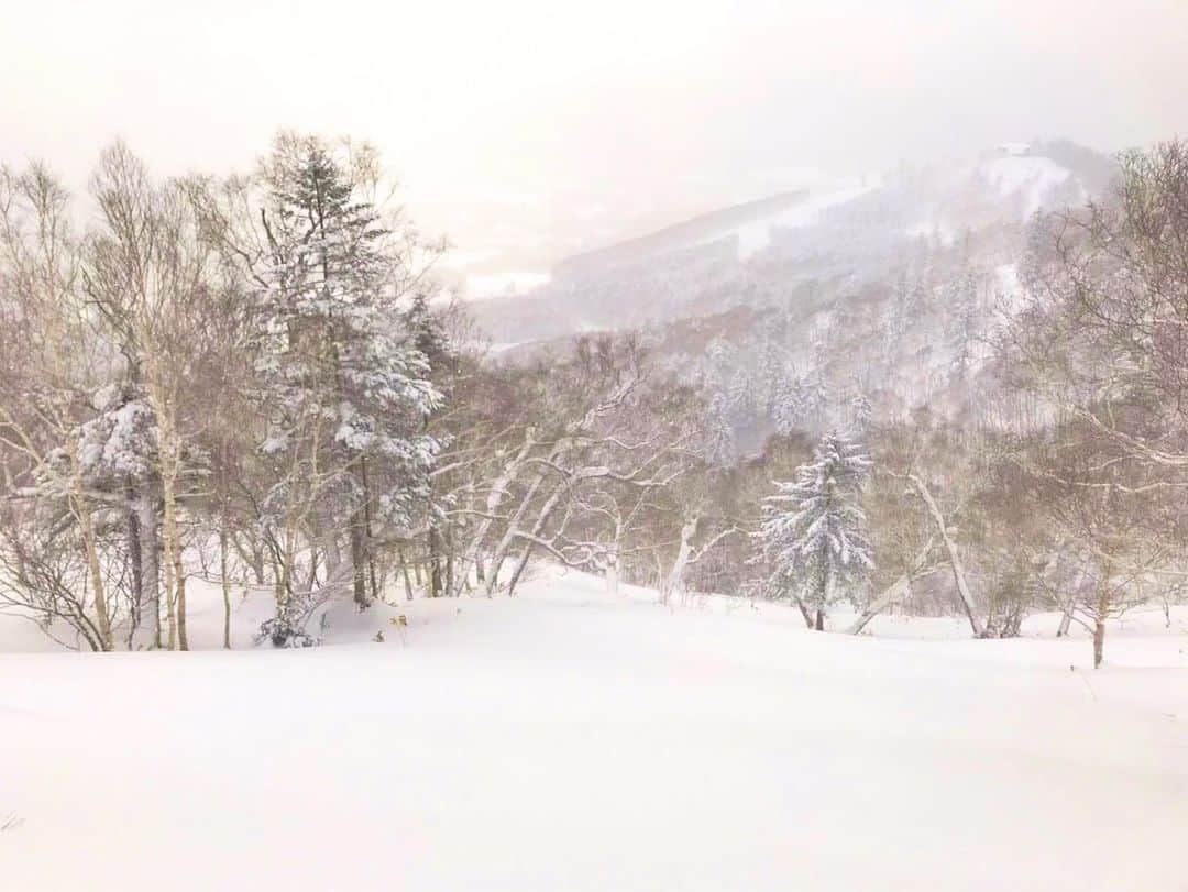星野リゾート　トマムさんのインスタグラム写真 - (星野リゾート　トマムInstagram)「Today’s Hoshino Resorts TOMAMU  昨晩からの降雪はおよそ20cm。非圧雪コースや上級者限定解放エリアにて、極上のパウダースノーをお楽しみいただけます。 １枚目の写真は、手前の二棟のホテルがリゾナーレトマム、奥の二棟のタワーがザ・タワーです。どちらもゲレンデ直結、スキーインスキーアウト可能です🏂⛷✨  #HoshinoResorts #星野リゾート #tomamu #hoshinoresortstomamu #星野リゾートトマム #トマム #risonaretomamu #リゾナーレトマム #risonare #リゾナーレ #北海道旅行 #星野集團 #Hokkaidotrip #霧氷テラス　#terraceoffrosttree」1月28日 15時43分 - hoshinoresorts_tomamu