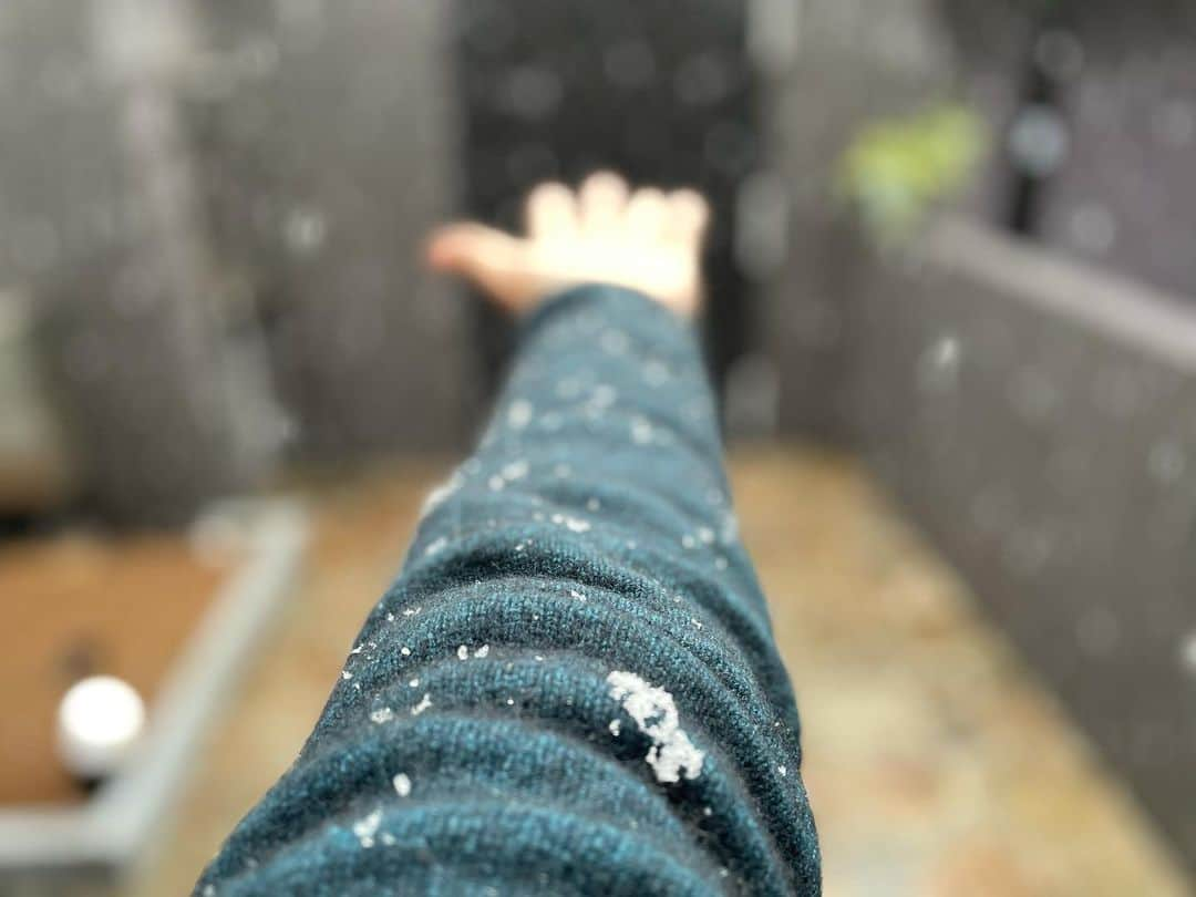 清水直行さんのインスタグラム写真 - (清水直行Instagram)「雪、ですね。 外に出たくない。 寒い🥶」1月28日 15時53分 - naoyuki_shimizu_