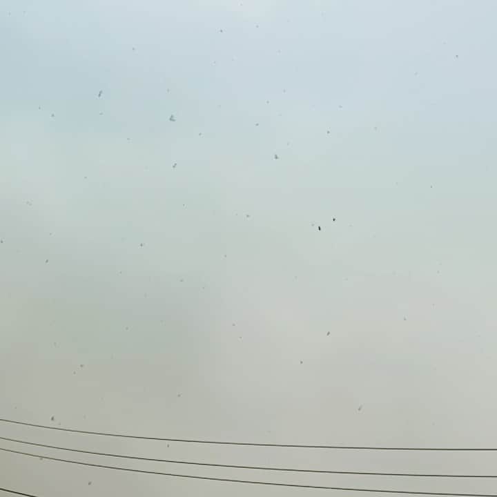 のインスタグラム：「雪だー❄️  わたしは、今年初雪〜  韓国では、初雪を好きな人と見ると恋が成就するって言われてるよね〜 ロマンチック♡  でも、今日はまた引きこもりなので人と会う予定のない私ですσ(^_^;)」