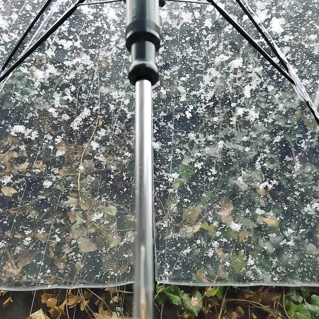 吉井怜のインスタグラム：「帰り道、傘に降りそそぐ雨は いつの間にか降り積もる雪へ❄  #今日の天気 #大粒の雪 #複数枚アップ」