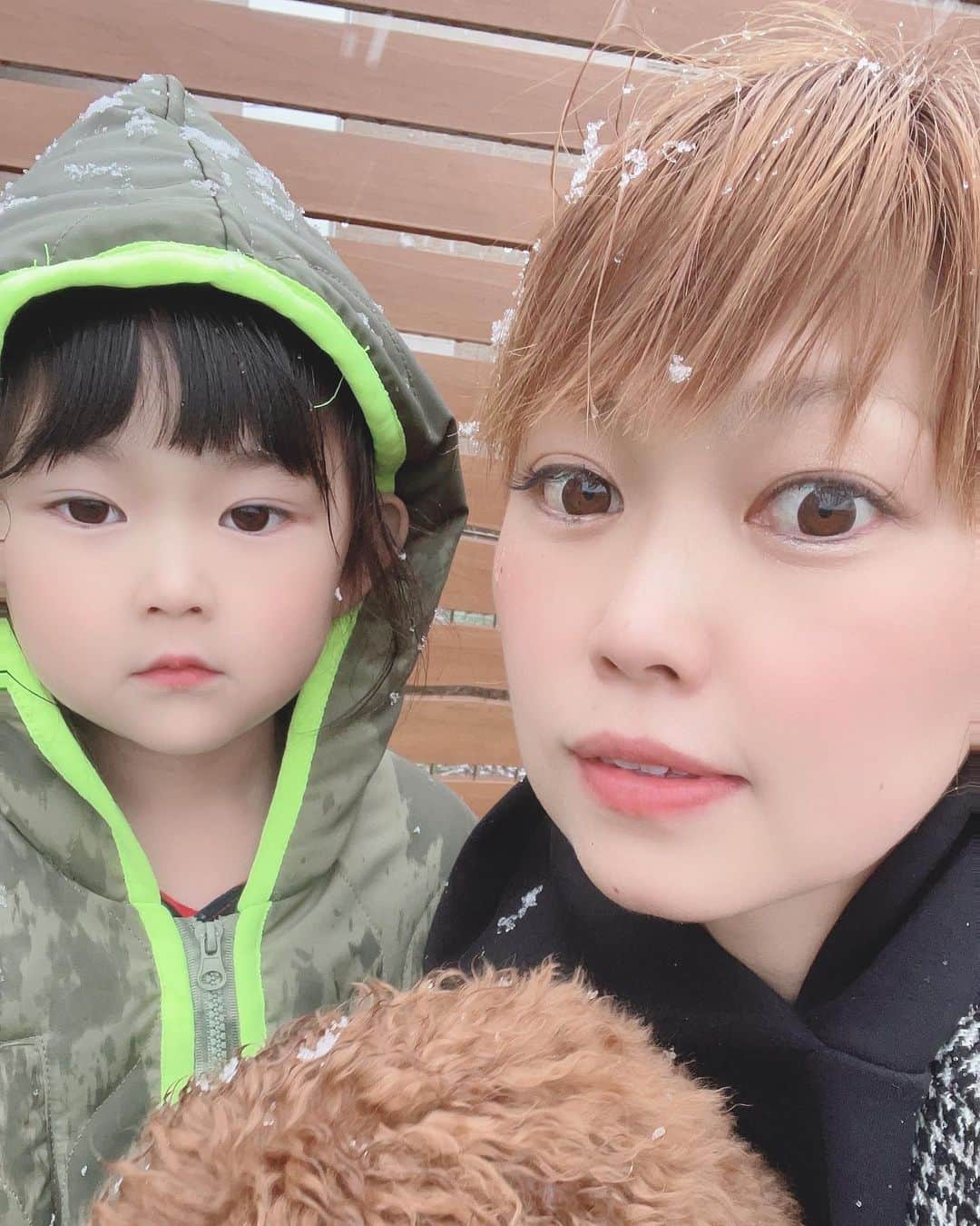 大菅小百合さんのインスタグラム写真 - (大菅小百合Instagram)「雪だ〜‼️😆☃️☃️☃️ 幼稚園から戻った娘と雪が初めてのワンコは嬉しそぅ💕😍積もるかなぁ…でも積もったら大変だなぁ… 久しぶりの雪に私もテンション上がりましたー😆✌🏻✨ ・ ・ ・ #関東で見る雪はテンション上がる #嬉しそうな娘 #犬は喜び庭駆け回る #ゆき #snow #北海道の血が騒ぐ #積もるのかなぁ⛄️」1月28日 16時11分 - sayuriosuga1027