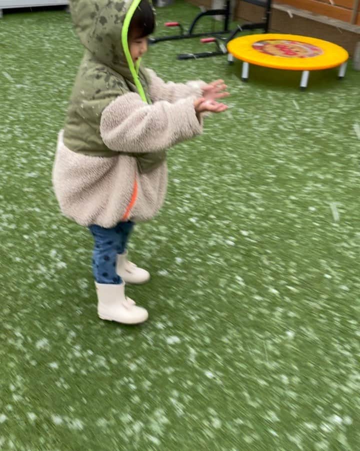大菅小百合のインスタグラム：「雪だ〜‼️😆☃️☃️☃️ 幼稚園から戻った娘と雪が初めてのワンコは嬉しそぅ💕😍積もるかなぁ…でも積もったら大変だなぁ… 久しぶりの雪に私もテンション上がりましたー😆✌🏻✨ ・ ・ ・ #関東で見る雪はテンション上がる #嬉しそうな娘 #犬は喜び庭駆け回る #ゆき #snow #北海道の血が騒ぐ #積もるのかなぁ⛄️」