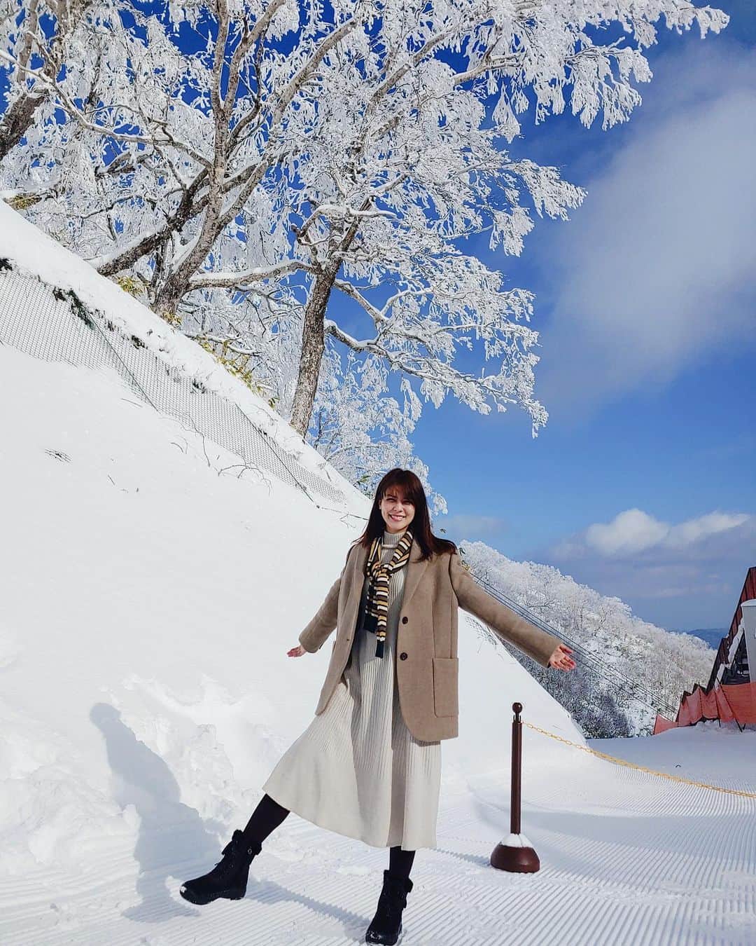 藤井美菜のグルメインスタ