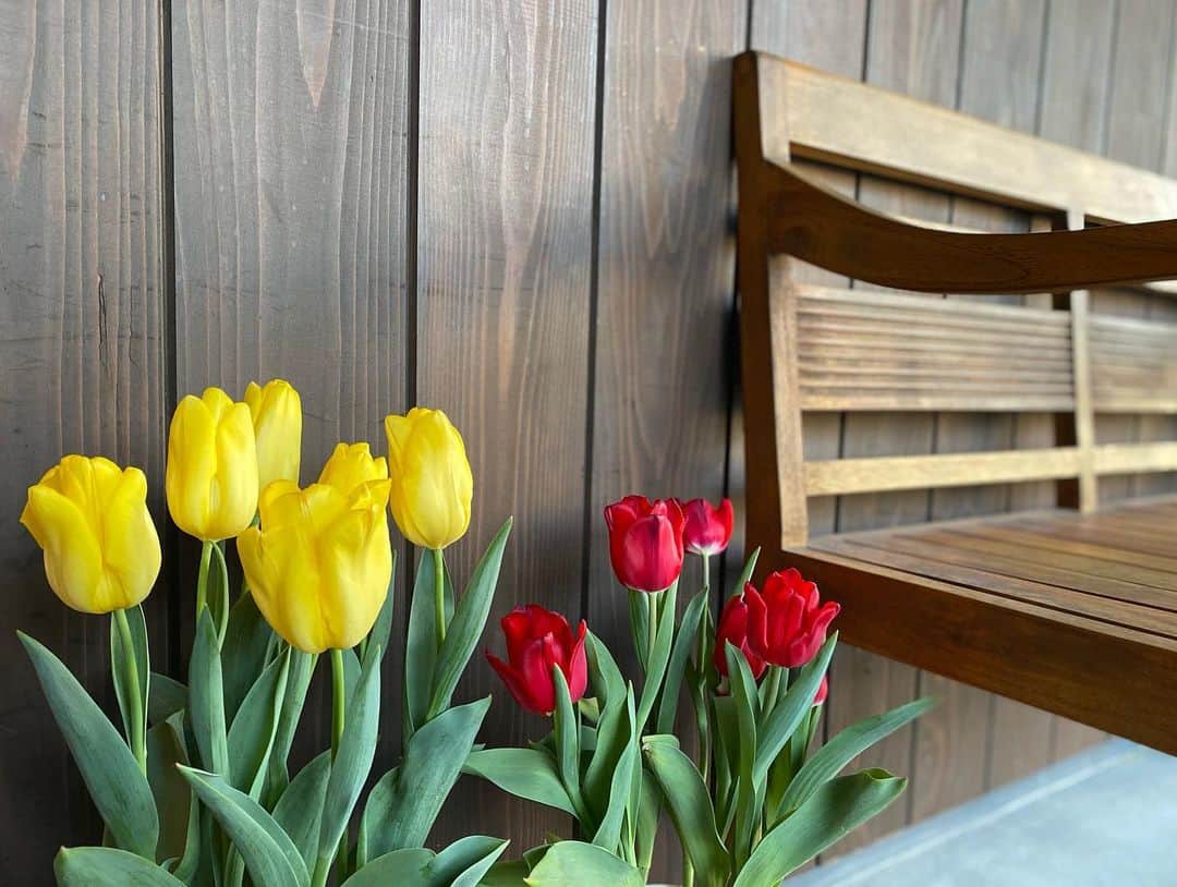 祥吉のグルメインスタ