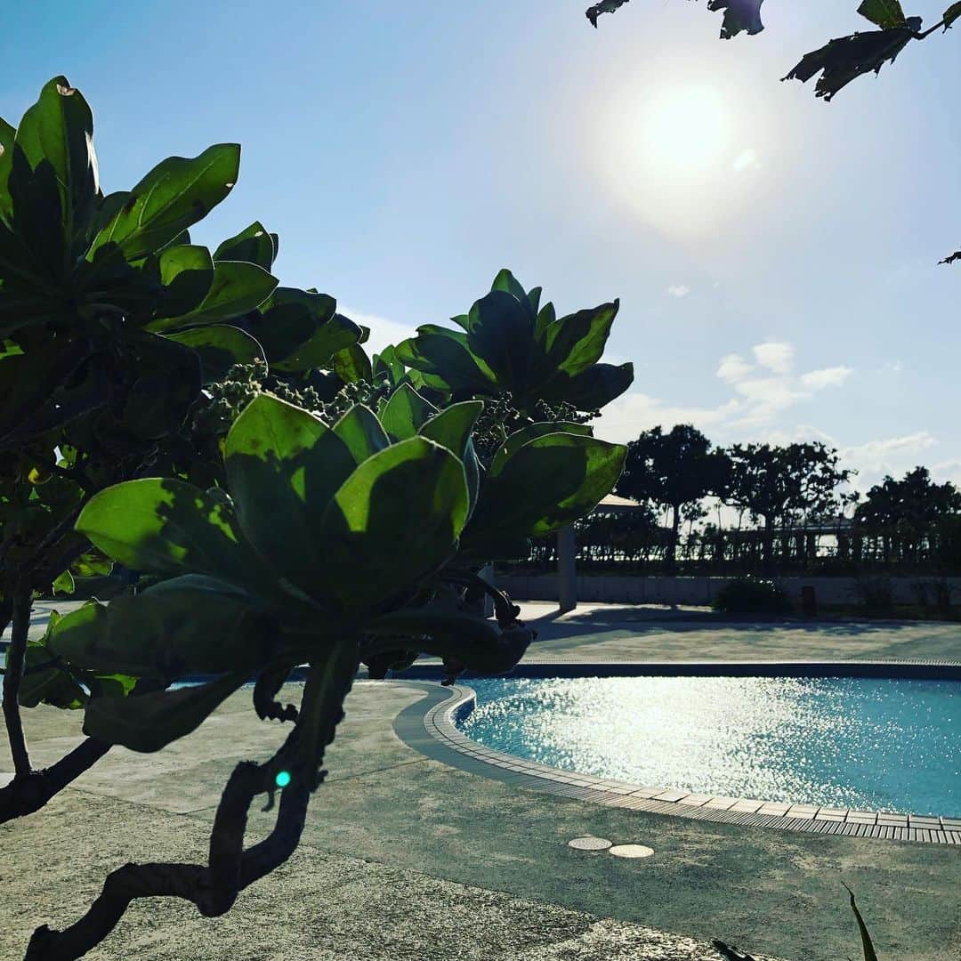 サザンビーチホテル＆リゾート沖縄さんのインスタグラム写真 - (サザンビーチホテル＆リゾート沖縄Instagram)「. 2021/1/2の昼下がりプールサイド☀️  1月もあっという間ですね。  癒しとhappyを糸満より♡  #okinawa #poolside  #photography  #happy」1月28日 16時33分 - southernbeachokinawa