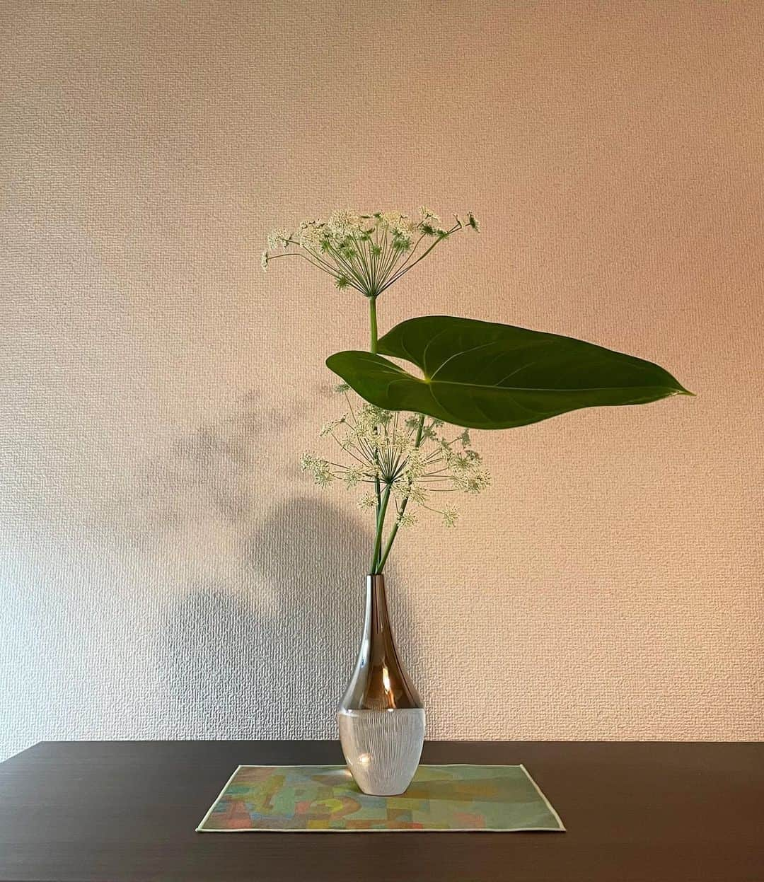 いけばな池坊さんのインスタグラム写真 - (いけばな池坊Instagram)「＊﻿ 【暮らしの花／Flower of Daily Life／生活之花】﻿ ﻿ 1月28日／28th January﻿ ﻿ レースフラワーの優しい花とアンスリュームの緑色の葉。﻿ お互い違っていても、二種類とも綺麗ですね。﻿ The soft lace-flower and green leaf of Anthurium are different but beautiful.﻿ 優雅的蕾絲花與火鶴的綠葉，雖然各自不同，但都很美麗。﻿  花材名：レースフラワー、アンスリュームの葉﻿  lace-flower, Anthurium leaf﻿ 蕾絲花，火鶴葉﻿ ﻿ 影もかわいい💓 ﻿ 全国で雪がすごいようですね❄️﻿ 皆様お気をつけてお過ごしください😌  ﻿ #花をいけようキャンペーン #花をいけよう #暮らしの花 #暮らしを楽しむ #お家時間  #お家で過ごそう #おうち時間を楽しむ #子供と一緒に #インテリア #お部屋作り #花入 #お花のある暮らし #アート #芸術 #大雪 #いけばな初心者 #表現﻿ #池坊 #いけばな #いけばな池坊 #華道﻿ #ikenobo #ikebana #kyoto #japaneseculture #floweroflife #ikebanaforpraying #stayhome﻿ #1月の花 #レースフラワー」1月28日 16時39分 - ikenobo550