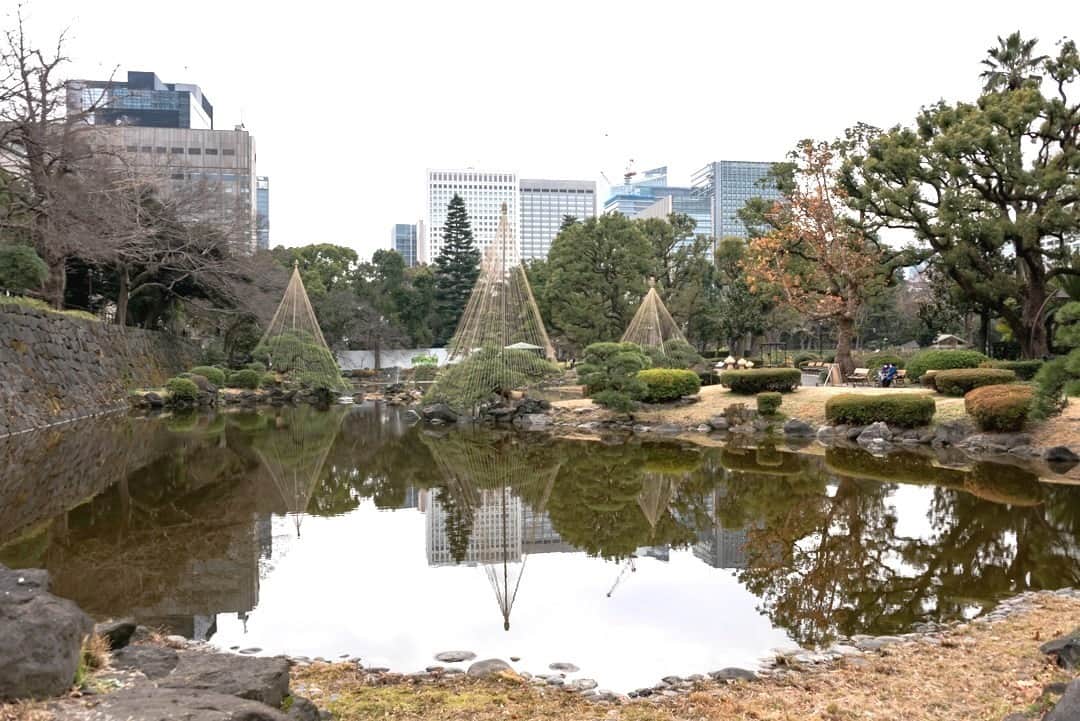 のインスタグラム：「「日比谷公園／ Hibiya park(2021.1.6撮影)」最寄り駅：日比谷駅  #大噴水  #皇居　#日比谷公会堂　#野外音楽堂　#千代田区　#日比谷線　#花壇 #tokyotokyo #tokyogram #moodygrams #jp_gallery #ptk_japan #gdayjapan #realtokyo #beautifuldestinations #tokyojapan #instatokyo #loves_nippon #phos_japan #bestjapanpics #cooljapan #japan_of_insta #photo_jpn #illgrammers #景色 #東京 #Tokyo #东京 #도쿄 #tokyogood」