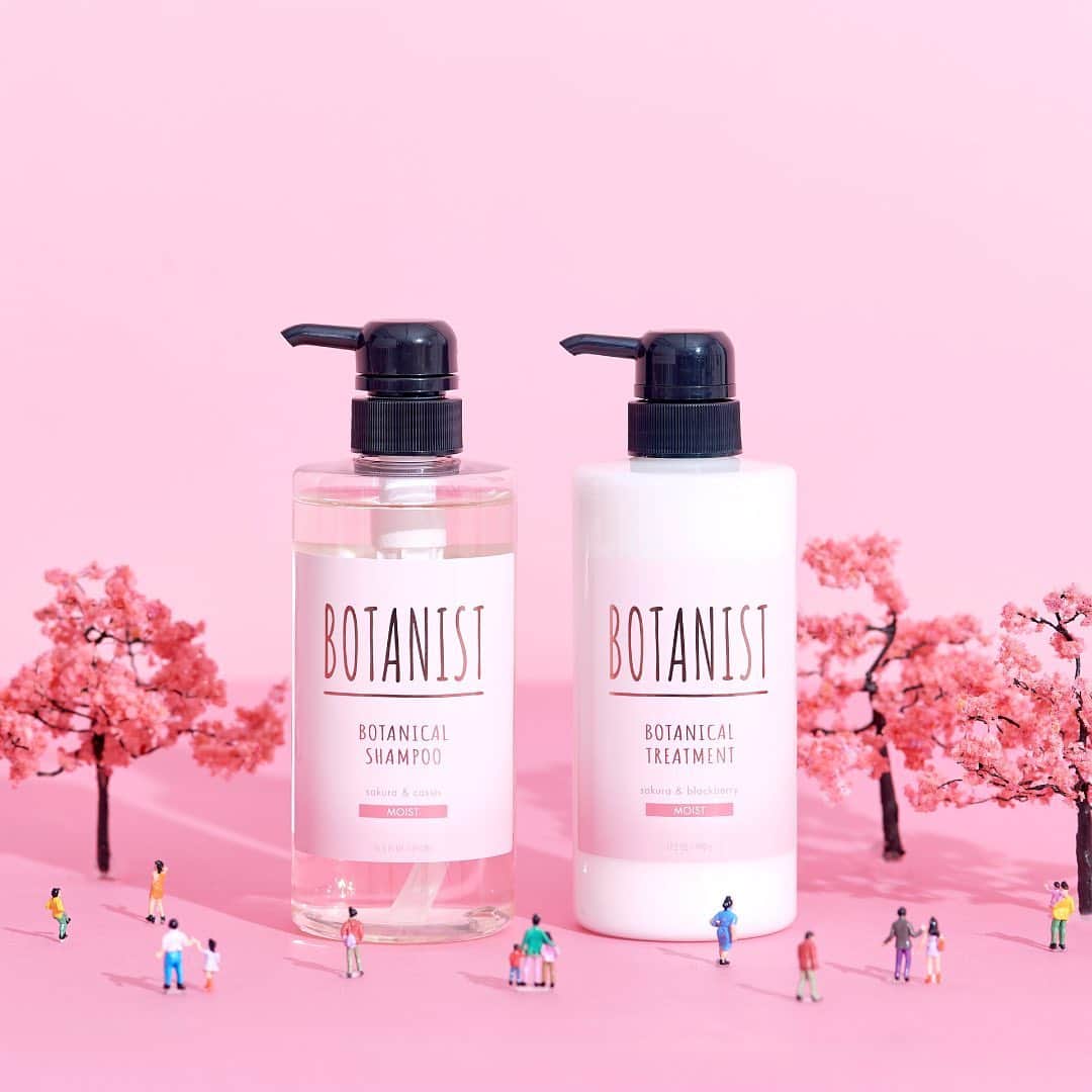 botanist officialのインスタグラム：「【春の夢を、咲かせる。】 1/31（日）まで【Bloom your Dream】スプリングキャンペーン開催中🌸 ⠀⠀ ご応募していただいた素敵な桜の写真は、特設サイトのさくらマップでご紹介📸 オンライン上で、全国の桜巡りをするのはいかがですか？☺︎ 特設サイトは、プロフィール欄URLからご確認ください♪ また引き続き、たくさんのご応募お待ちしております！ ⠀⠀ ＜応募方法＞ ✔︎ 桜の写真に #春の夢を咲かせる を付けて投稿 ※撮影した場所（都道府県）も記載 ✔︎「さくらのミニ盆栽＆スプリングセット」抽選50名様🎁 ⠀⠀ いち早く新しい春の訪れを感じてみませんか？ やさしい桜のフレグランスに包まれたら、それは特別な春のはじまりです🌸 ⠀⠀ #BloomyourDream #春の夢を咲かせる #BOTANIST #ボタニスト #botanisttokyo #ボタニストトウキョウ #botanicalbeauty ⠀⠀ 🗼@botanist_tokyo 🌍@botanist_global 🇨🇳@botanist_chines」