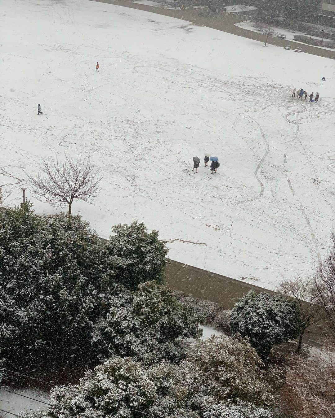 松見早枝子さんのインスタグラム写真 - (松見早枝子Instagram)「思いのほか降りましたね🌨 ・ 今日は、うちの収納や片付け法について取材、撮影していただきました👀💦 ・ キッチンまわりや食器類の収納、洗面所、寝室のクローゼット❗️など。 ・ 収納のプロでない上に、合理的に収納しているだけの、おしゃれでもないクローゼットはお見せして良いものか不安でしかありませんが、、😅 4ページの企画📖『クロワッサン @croissant.mag 』3月10日発売号です❗️ ・ お昼時を挟んでの撮影だったので、撮影後、私の#薬膳スパイスカレー シリーズの#骨付きチキンときのこのカレー でランチ🥄 ・ 皆さん#スパイスカレー 好きで良かった😁👍 ・ 炒め玉ねぎにターメリックを加えて炒め合わせたものと、レーズン、塩を加えて炊いた#ターメリックライス と#ぬか漬け 、パクチーを添えて。 ・ 👦🏻は予想通り、帰宅するなりお友達と雪原に飛び出していきました😅 ・ ・ #収納 #片付け #インドカレー  #料理教室tronc オリジナル #薬膳カレー #粮理家 #ウェルネスフードスタイリスト #松見早枝子 #spicecurry #indiancurry #wellnessfoodstylist #saekomatsumi」1月28日 17時51分 - saekomatsumi