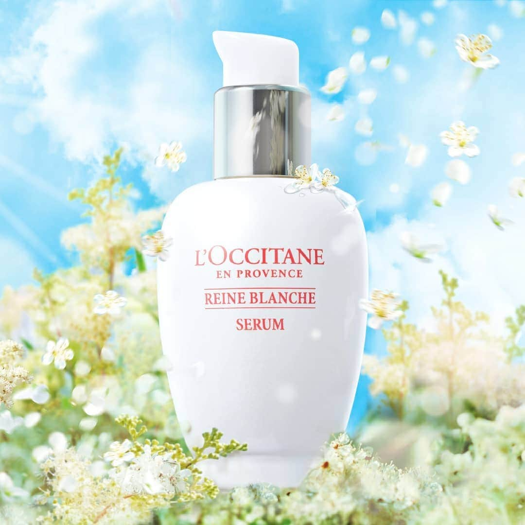 L'OCCITANE en Provenceのインスタグラム：「【速報📣！】大人気美白(*1)シリーズ「レーヌブランシュ」がリニューアル🕊✨肌を整え、明るく澄みきった肌印象へ🌿﻿ ﻿ 光を浴びるほど透きとおるような﻿ 輝きを持つ純白の花に変わる﻿ 草花の女王「レーヌデプレ」💐﻿ ﻿ そんな純白花のうるおい美白(*1)で﻿ 大人気のスキンケアシリーズ﻿ 【レーヌブランシュ】がリニューアル！﻿ 1/27(水)より先行予約がスタートしました✨﻿ ﻿ 肌荒れ、ゴワつき、カサつき、シミ…。﻿ 肌の光の反射を阻む「光の落とし穴」を整え、﻿ 透明感のポテンシャルを底上げ🕊﻿ ﻿ 東洋では古くから親しまれる﻿ 植物根カンゾウ由来成分(*2)や﻿ オウゴンエキス(*3)が加わり、﻿ ﻿ 肌荒れまでも防ぐ﻿ スキンケアに進化を遂げています🌿﻿ ﻿ 「あなたの肌はあなたが﻿ 思っているよりも透明に近づける」﻿ ﻿ そのヒミツをスワイプしてチェック！👉﻿ ﻿ ﻿ ＼リニューアルアイテムはこちら💁🤍／﻿ ﻿ ●化粧水（新商品）﻿ イルミネイティングフェイスウォーター﻿ ﻿ ●美容液（新商品）﻿ ブライトコンセントレーヌセラム（医薬部外品）﻿ ﻿ ●保湿クリーム（新商品）﻿ ブライトモイスチャージェルクリーム（医薬部外品）﻿ ﻿ ●ミスト化粧水（パッケージリニューアル）﻿ ブライトフェイスミスト﻿ ﻿ ﻿ パワーアップしたレーヌブランシュを﻿ 使ってみたいと思ったら﻿ 「✨」の絵文字でコメントしてね。﻿ ﻿ ぜひ一番気になるアイテムも﻿ 一緒に教えていただけると嬉しいです！﻿ ﻿ ﻿ 【👆】製品タップで詳細をチェック！﻿ ﻿ (*1)メラニンの生成を抑え、しみ・そばかすを防ぐこと。（医薬部外品による効果）﻿ (*2)グリチルリチン酸ジカリウム（肌あれ有効成分）﻿ (*3)うるおいを与え、乾燥ダメージをケア。﻿ ※(*2)～(*3)スキンコンディショニング成分﻿ ﻿ #ロクシタン #loccitane #ゆらぎ肌 #肌の悩み #美白になりたい #素肌美人 #すっぴん美人になりたい #レーヌブランシュ #美白ケア #美白効果 #美肌になりたい #美肌効果 #美肌ケア #くすみケア #毛穴ケア #ゆらぎ肌対策 #おうち美容 #新製品 #新作スキンケア #ポジティブマインド #ポジティブライフ #丁寧な暮らしに憧れる #美人になりたい #綺麗になりたい #お家時間の過ごし方 #シミ対策 #シミ改善 #漢方コスメ #漢方女子 #reineblanche」