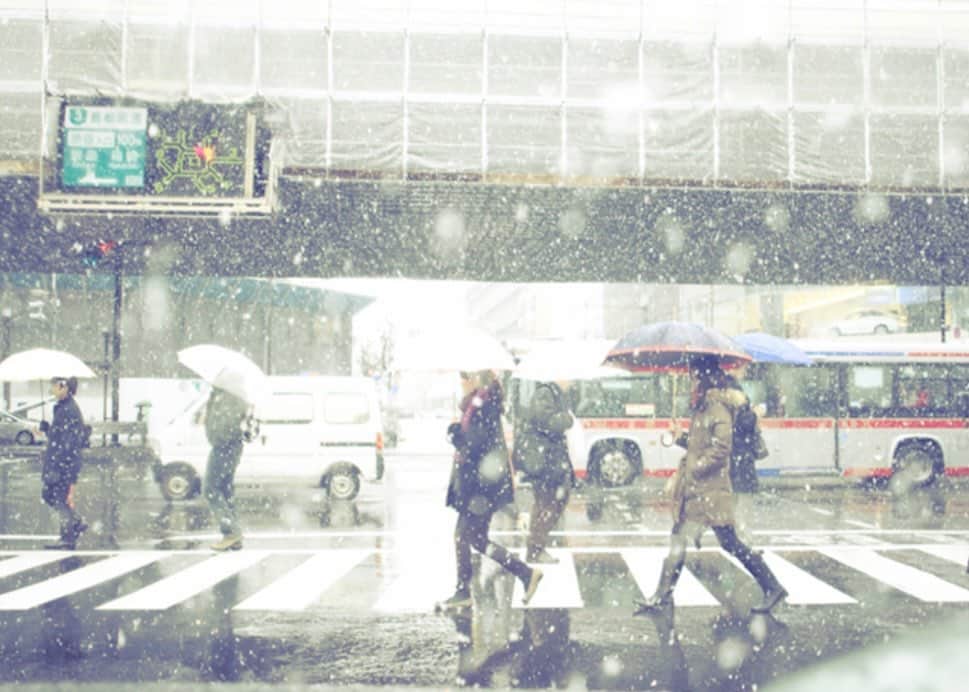 OKAのインスタグラム：「雪の日」