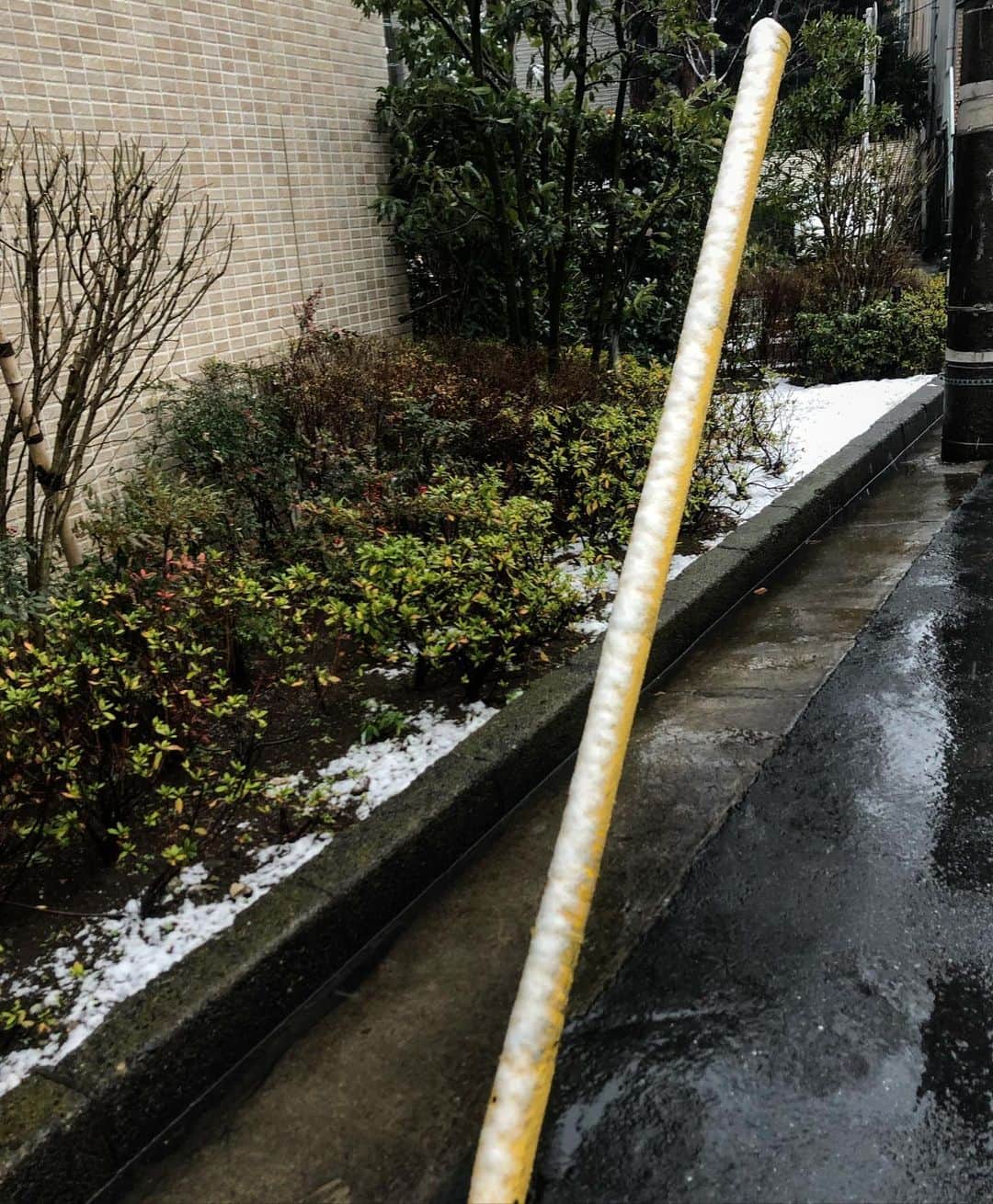 MIZYUさんのインスタグラム写真 - (MIZYUInstagram)「雪が積もっている Snow is piled up」1月28日 17時59分 - mizyu_leaders