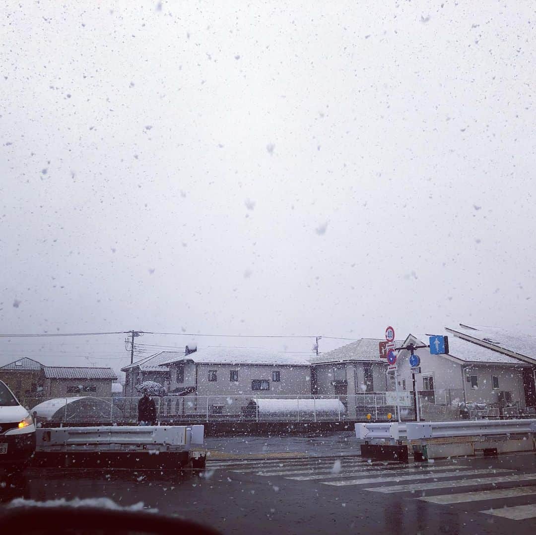 HI-Dのインスタグラム：「初雪か....」
