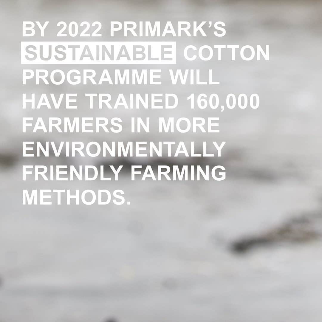 プリマークさんのインスタグラム写真 - (プリマークInstagram)「We are able to trace the source of our sustainable cotton at every stage of the process, right down to the community it was grown in. For more information please go to Primark.com #PrimarkCares」1月28日 18時57分 - primark