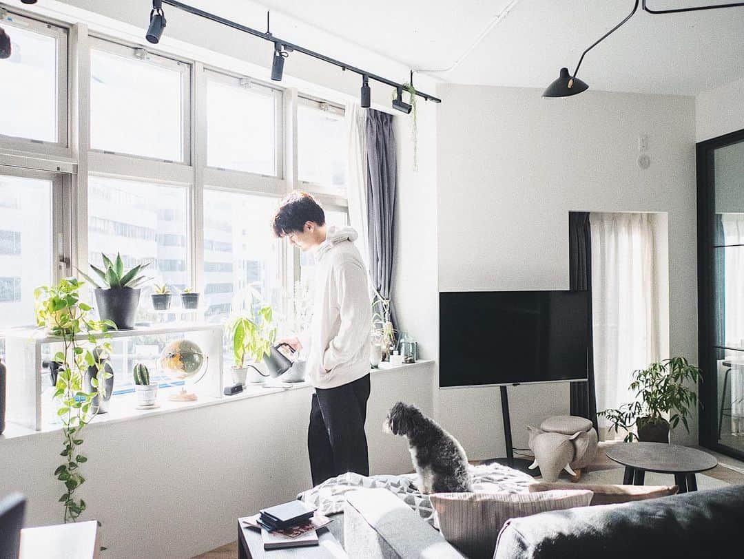 響のインスタグラム：「水やり🌱 家の中で一番日当たりの良いトコに植物置いてます。 ・ まだジョウロ買って無くてケトルで水あげてます🥺 ・ #植物にある生活#植物のある暮らし#観葉植物#観葉植物がある生活#グリーンのある暮らし#グリーン#暮らしを楽しむ#リノベーション#インテリア#建築#デザイン」