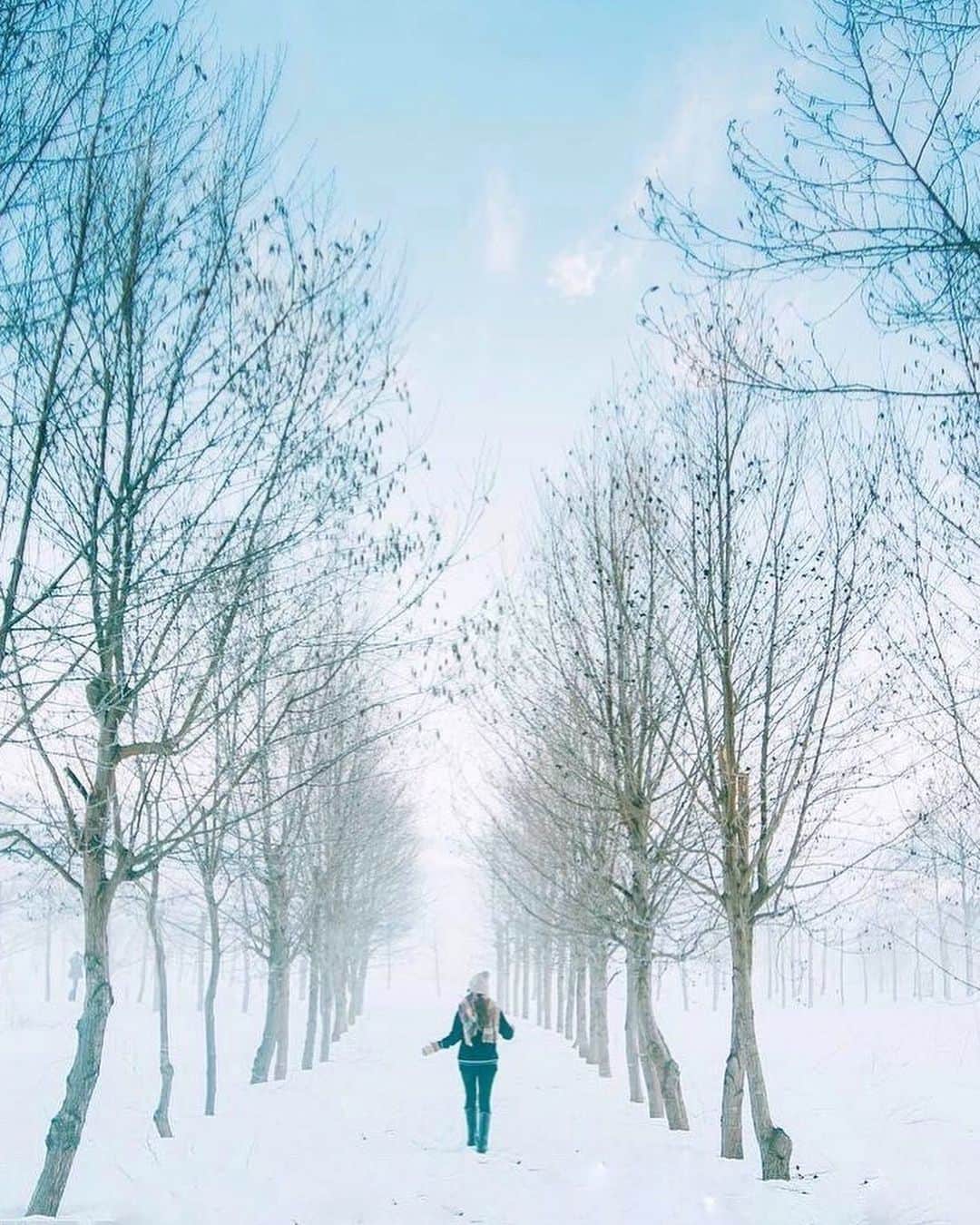 yukiのインスタグラム：「・ ・ ・ Wonderful winter days ・ ・ ・ ◉sty830 base shop◉ https://sty830.base.shop/ ・ ・ ・ #新潟　#雪　#雪景色　#福島潟」