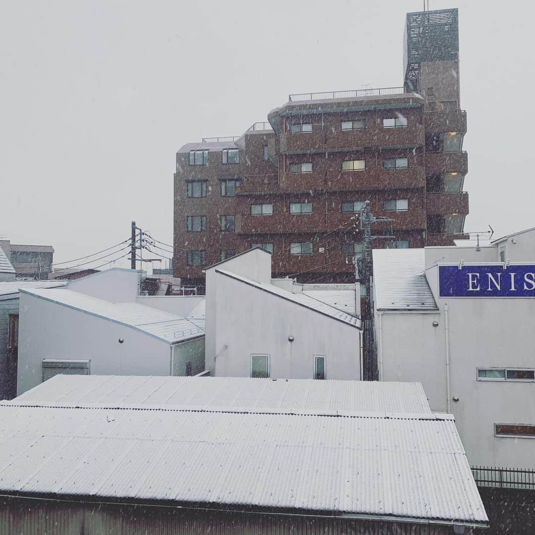 桜花由美さんのインスタグラム写真 - (桜花由美Instagram)「今日今年初の雪を見たー！ 練習中に外見たら、雪が積もってて、帰りは寒かったわぁ。 雪見るとテンション上がるけど、手が悴むわ…  今日は鳥越アズーリのラジオに出演します！ 見てねー！  ▼ 本日28日21時より鳥越アズーリＦＭでプロレスリングwaveの冠番組『にえきらない木曜日「投げっぱなし」これが、ラジオwaveだー！！』放送！ ◎1・28（木）21時〜21時50分 『にえきらない木曜日「投げっぱなし」これが、ラジオwaveだー！！』   ▼出演 ＧＡＭＩ、桜花由美   Twitterに「#投げっ波」を付けて質問等を投稿して下さい。番組中にお答えします！ 見えるラジオなので、ぜひご視聴ください。   ▼視聴URL https://azzurri-fm.com/    #wavepro ‪#プロレスラー ‬ ‪#女子プロレス‬ ‪#prowrestling‬ ‪#プロレスリングwave‬ #波ヲタ全員集合  #桜花由美 #波ヲタ #愛犬 #愛犬との暮らし  #犬  #犬のいる暮らし  #犬なしでは生きていけません会  #犬バカ #トイプードル  #トイプードルカフェオレ  #mixchannel  #mixchannelライブ配信  #mixchannel公認ライバー #ミクチャ  #ミクチャ動画 #youtube  #youtubechannel #ozアカデミー #正危軍  #新宿 #新宿face #歌舞伎町女子プロレスバーちゃんす  #歌舞伎町ちゃんす」1月28日 19時03分 - ohkayumi