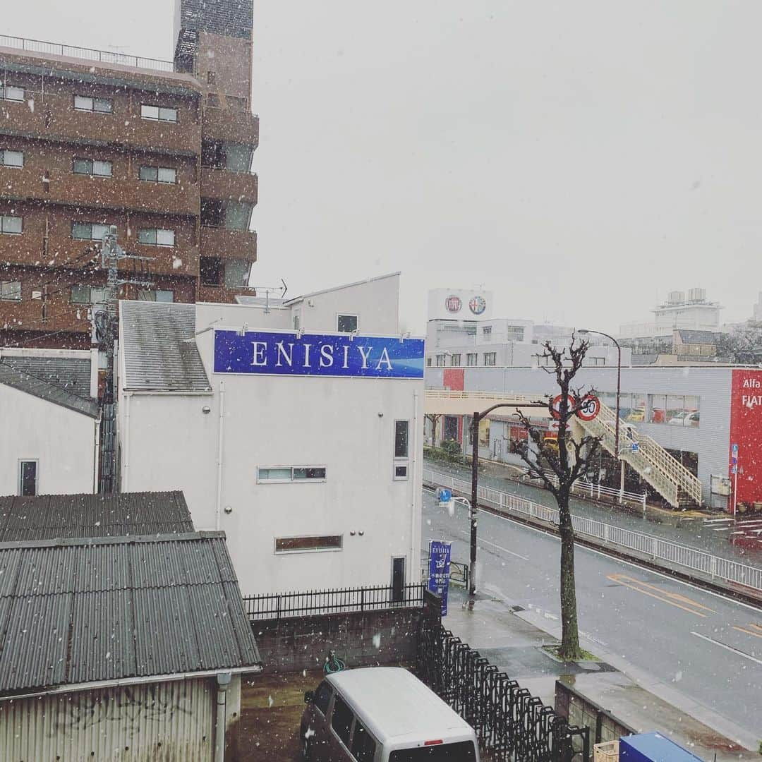 桜花由美さんのインスタグラム写真 - (桜花由美Instagram)「今日今年初の雪を見たー！ 練習中に外見たら、雪が積もってて、帰りは寒かったわぁ。 雪見るとテンション上がるけど、手が悴むわ…  今日は鳥越アズーリのラジオに出演します！ 見てねー！  ▼ 本日28日21時より鳥越アズーリＦＭでプロレスリングwaveの冠番組『にえきらない木曜日「投げっぱなし」これが、ラジオwaveだー！！』放送！ ◎1・28（木）21時〜21時50分 『にえきらない木曜日「投げっぱなし」これが、ラジオwaveだー！！』   ▼出演 ＧＡＭＩ、桜花由美   Twitterに「#投げっ波」を付けて質問等を投稿して下さい。番組中にお答えします！ 見えるラジオなので、ぜひご視聴ください。   ▼視聴URL https://azzurri-fm.com/    #wavepro ‪#プロレスラー ‬ ‪#女子プロレス‬ ‪#prowrestling‬ ‪#プロレスリングwave‬ #波ヲタ全員集合  #桜花由美 #波ヲタ #愛犬 #愛犬との暮らし  #犬  #犬のいる暮らし  #犬なしでは生きていけません会  #犬バカ #トイプードル  #トイプードルカフェオレ  #mixchannel  #mixchannelライブ配信  #mixchannel公認ライバー #ミクチャ  #ミクチャ動画 #youtube  #youtubechannel #ozアカデミー #正危軍  #新宿 #新宿face #歌舞伎町女子プロレスバーちゃんす  #歌舞伎町ちゃんす」1月28日 19時03分 - ohkayumi