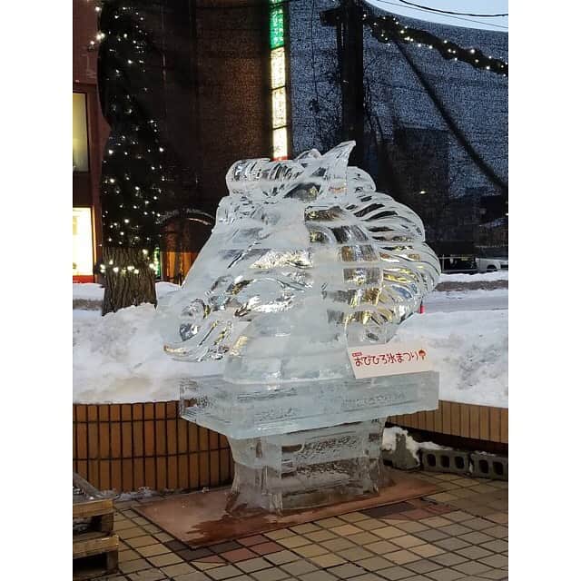 羽田美智子さんのインスタグラム写真 - (羽田美智子Instagram)「北海道にきています✈️ 昨日は北見で公演があり、お天気にも恵まれて、皆様に暖かく出迎えていただきました❤️  本日移動中に足寄で休憩☕😌 30年前、ドラマの撮影で滞在してた町です。 懐かしい～😆  帯広に着いたら『おびひろ氷まつり』の準備をしていました。 綺麗ですね～❄️❄️❄️  明日は幕別で公演があります！ もしお近くでしたらお待ちしています😉」1月28日 19時16分 - michikohada