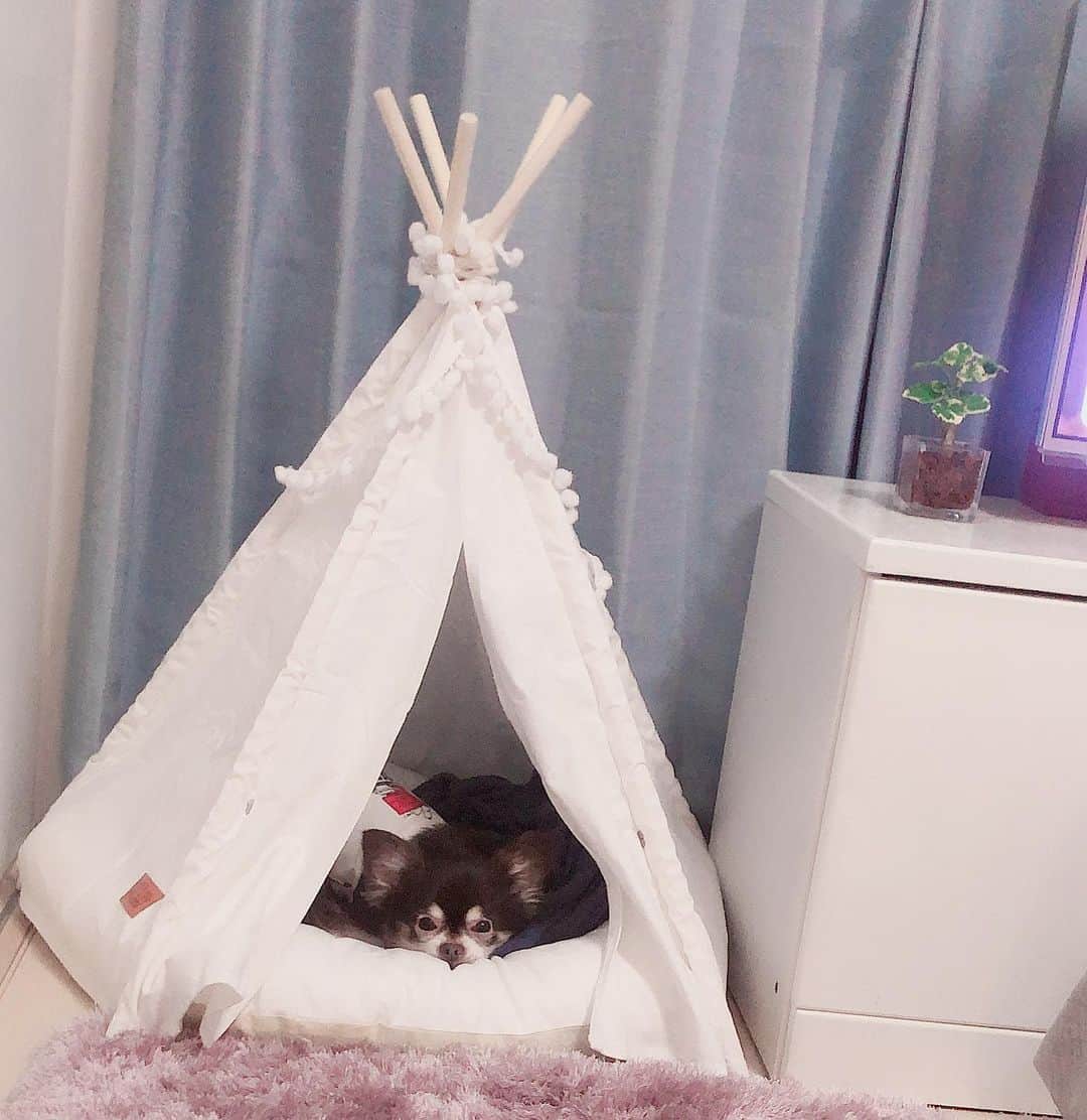 七瀬美月のインスタグラム