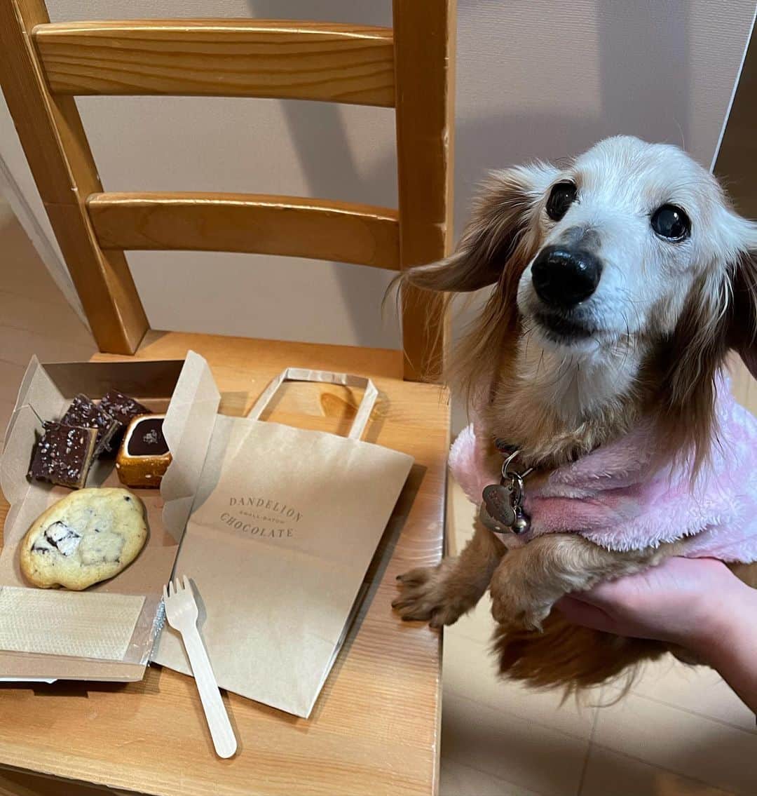 向日葵?のグルメインスタ