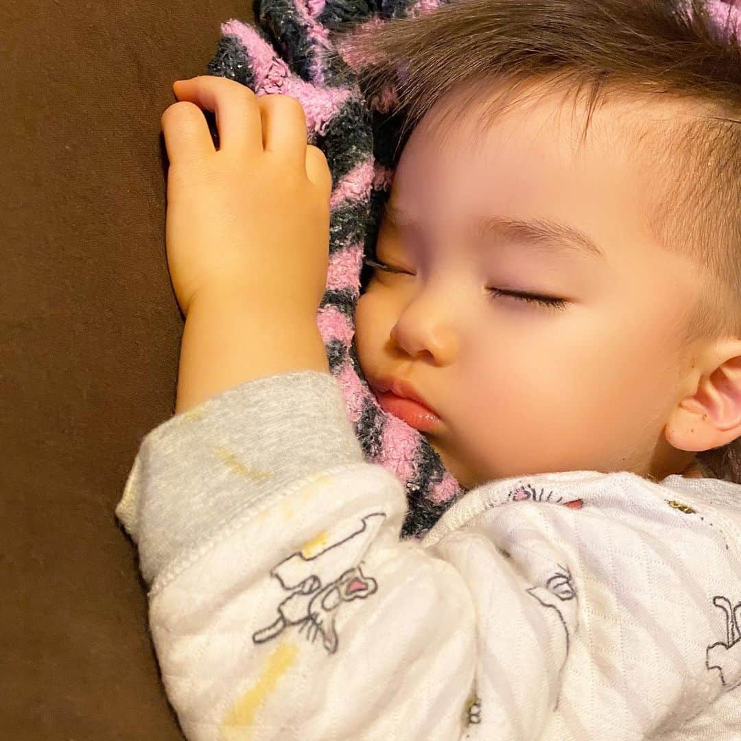 Momoeのインスタグラム：「遊び疲れて寝ちゃった😌❤️ 袖がきったねえ😌❤️  . .  #happy #家事 #育児 #family #家族 #boy #smile #男の子 #息子 #code #love #lucky #kids #子供 #thankyou #宝物 #ベビー #fashion #follow #パパ #ママ #家族写真 #男の子ママ #1歳 #うさぎ #ネザーランドドワーフ」