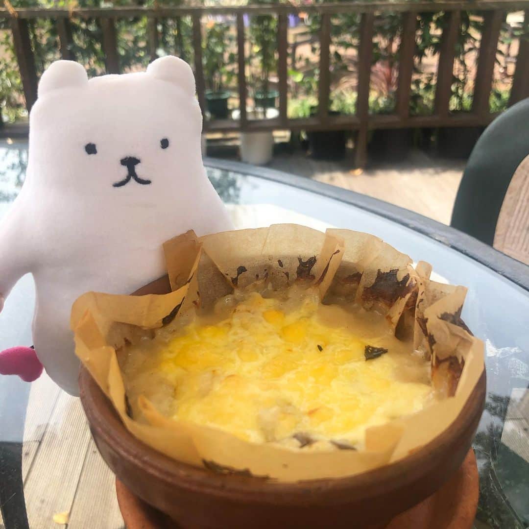 フィルたんのインスタグラム：「フィルたんだよ〜💬 ・ 今日は良いお天気だったから ガーデンでランチを食べたよ〜😋 このドリアは植木鉢の器の中に入ってるんだよ🌷 ・ @toyalekco_official  @filtan_official  ・ #フィルたん #ランチ #ドリア #ガーデン」