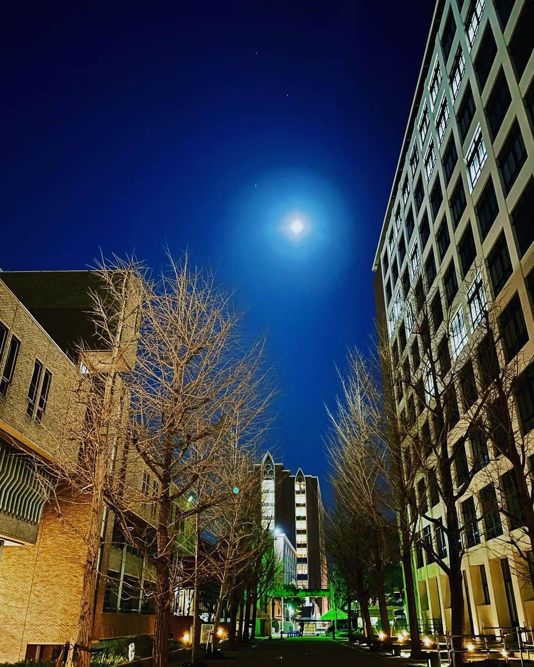 近畿大学総務部広報室のインスタグラム：「#fullmoon🌕 #kindaiuniversity  Look up to the sky!   #満月の夜  #近畿大学  #月齢 14.9」