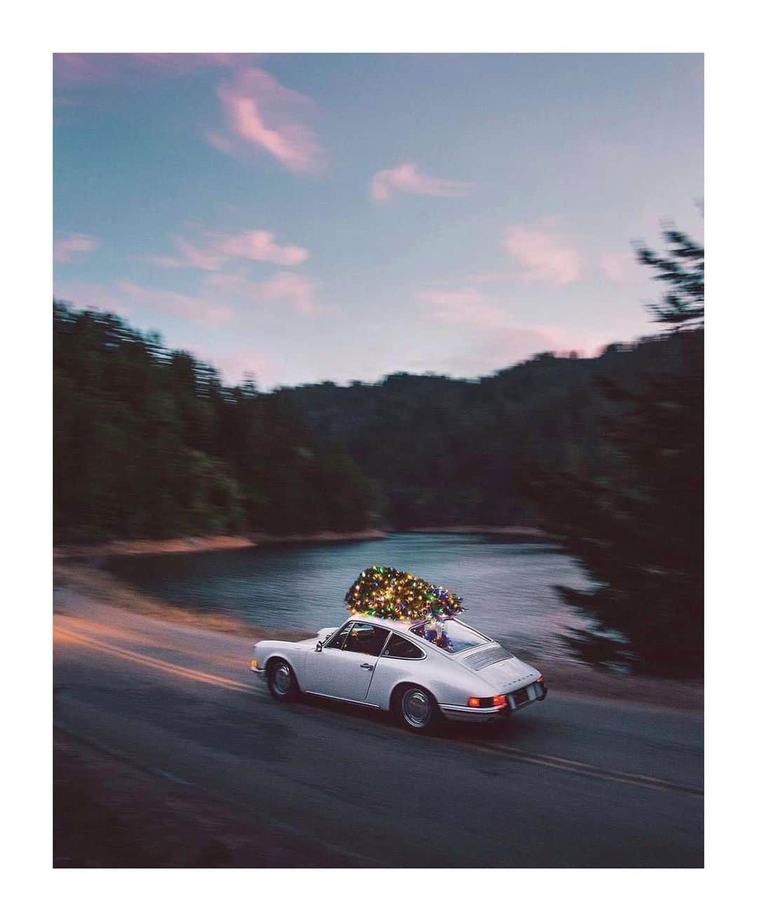のインスタグラム：「🤍⚪️🌿⚪️🌿⚪️🤍  🎶　@_bichopalo_  Dream made」