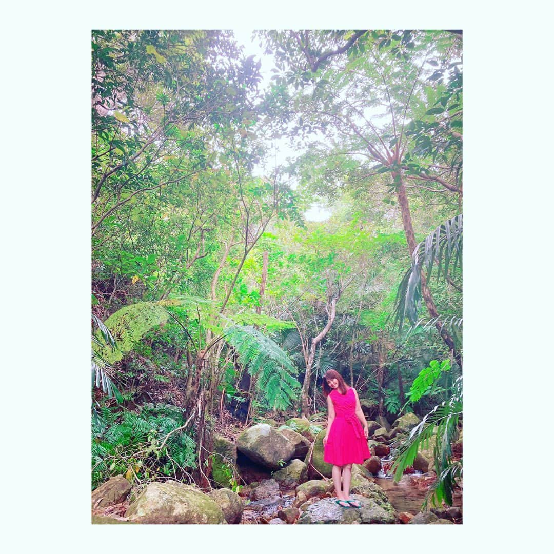 真野みづほさんのインスタグラム写真 - (真野みづほInstagram)「【発信する方必聴❣️❣️】 声の波動が人を呼ぶ・ポイント二つ🤗✨ スタエフで配信してます🎙🎧 プロフィール欄から😊🌸↑ #声優  #声優さん好きな人と繋がりたい #声 #声優クラスタさんと繋がりたい #声楽 #男性声優 #艺声 #美声 #声優好きな人と繋がりたい #声ガラガラ #声入人心 #声が出ない #声が好き #声優さん #声フェチ #声援 #声優志望 #相声 #声出していこう #声明 #声楽レッスン #声かけ #声優好きと繋がりたい #声真似 #声出し #声変わり #声優好きさんと繋がりたい #声デカイ #声枯れ #声優好き」1月28日 20時52分 - mizuhomano