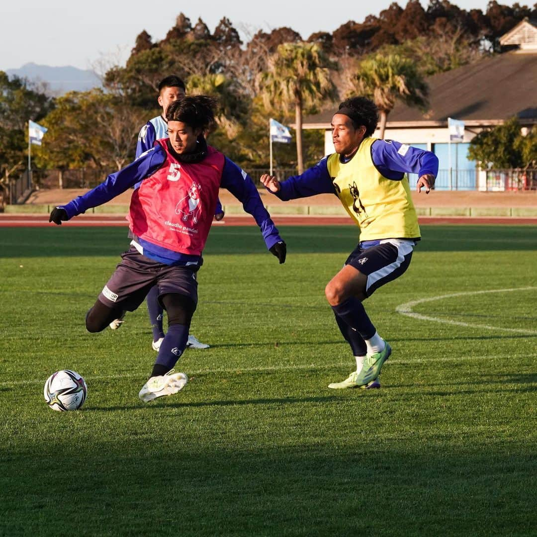 横浜FCさんのインスタグラム写真 - (横浜FCInstagram)「- 宮崎キャンプがスタートしました。 歓迎セレモニーにて特産品を贈呈していただきました。 引き続き練習見学はありませんが各SNSにて選手の様子をお伝えしていきます📷 - #yokohamafc #横浜FC #RECORDTHEBLUE #JLEAGUE #Jリーグ」1月28日 21時06分 - yokohamafc_official