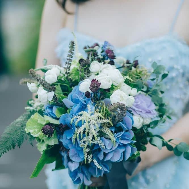 NOVARESE Dress Officialのグルメインスタ