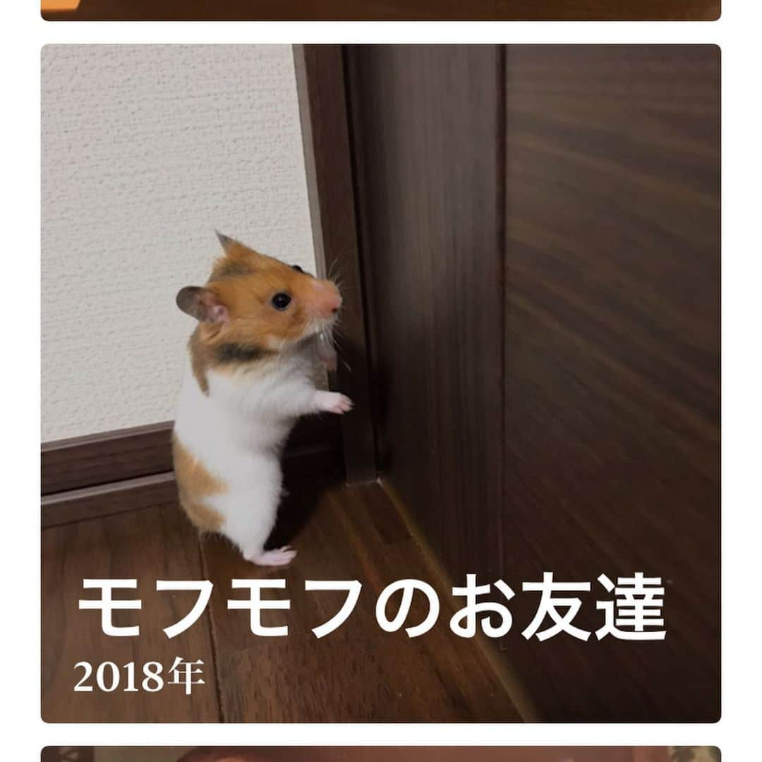 TsurutaHitomiさんのインスタグラム写真 - (TsurutaHitomiInstagram)「爆血からの煉獄さんからのモフモフからのウッディ🦭 #nail #selfnail」1月28日 21時44分 - hiromi_tsuruta