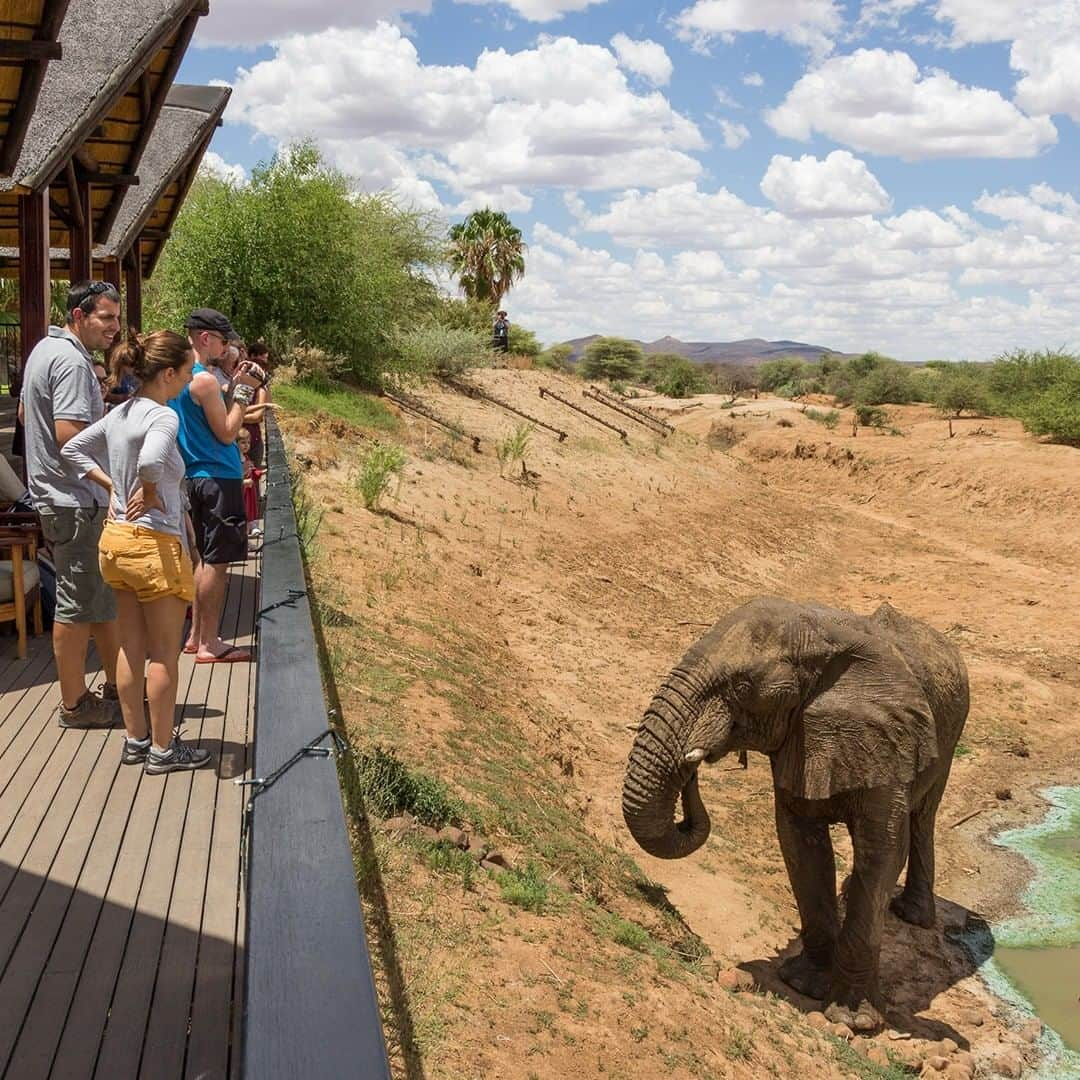 Land Roverさんのインスタグラム写真 - (Land RoverInstagram)「Don't just visit their world - live in it. See elephants and more as you've never seen them before with Land Rover Experience Adventure Travel Namibia. Click the link in our bio to book your place when you're ready to explore.  @erindinamibia #erindi #erindinamibia #Namibia #OffRoad #Defender #TeamDefender #NewDefender #Elephant #Elephants #Wildlife @landrover_adventuretravel」1月28日 22時00分 - landrover