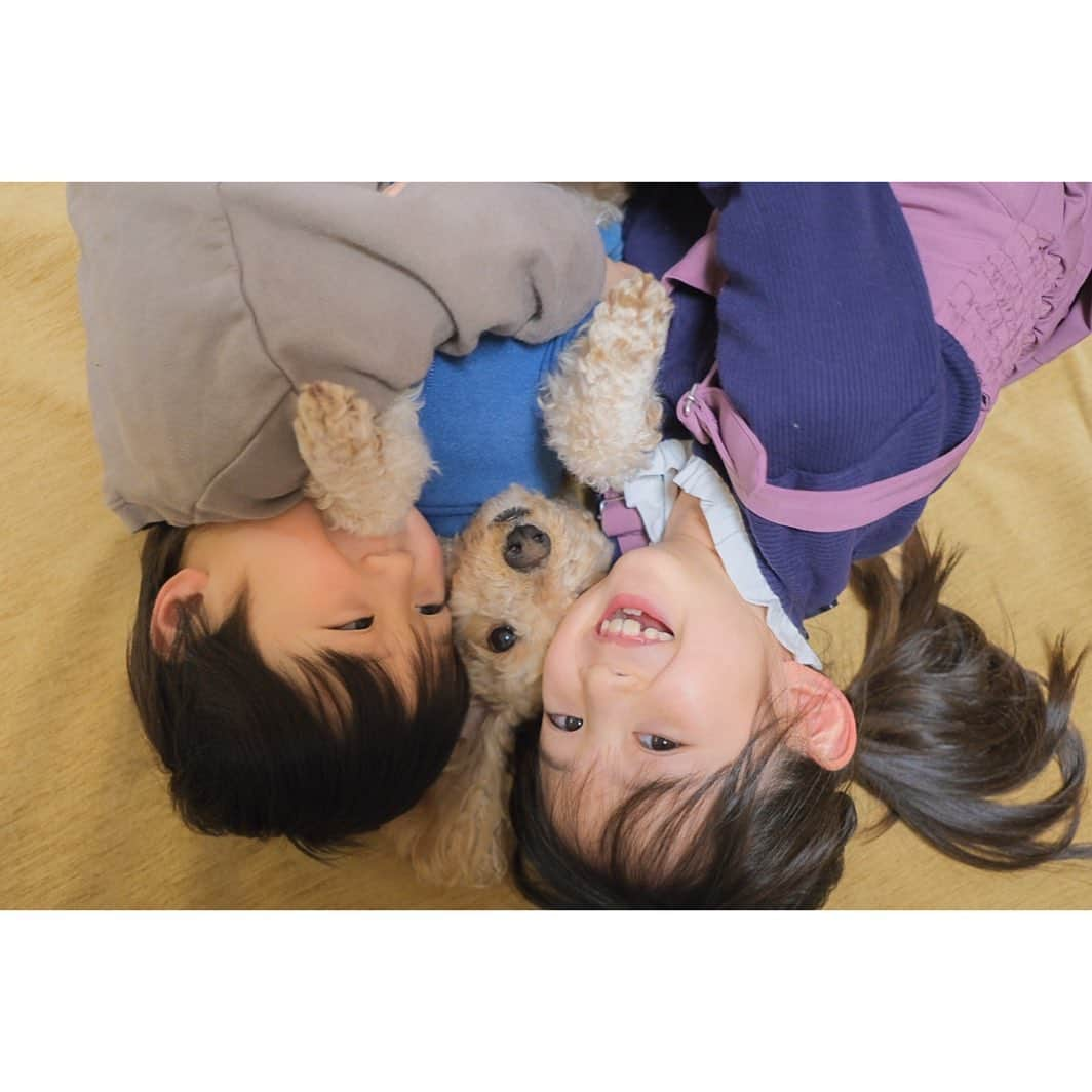 Ai.tさんのインスタグラム写真 - (Ai.tInstagram)「. 三兄弟👦🐶👧 . . 人にくっついてるのが好き👌 . . 私の展示会来てくれた方は見たかと思うんだけど、子どもたちのアルバムを毎月作るたびに見返しては、今の子どもたちも、もちろん大好きだけど 赤ちゃんのころの二人にもう一度会いたいなぁとうるうるしてしまう🥺 . ちなみにアルバムは「かぞくのきろく」ってアプリだよ😌 コメントもかけるから本当おすすめ👏👏 . .  #FUJIFILM #fujifilm_xseries #xt30 #今日もX日和 #tokyocameraclub #東京カメラ部 #photo #写真 #子どもの写真 #カメラ #ファインダー越しの私の世界 #何気ない瞬間を残したい #ママカメラ #RECO_ig #私の見る世界　#cuddlephoto #抱きしめたくなる写真 #かぞくのきろく」1月28日 22時09分 - ngs.rky.kuy