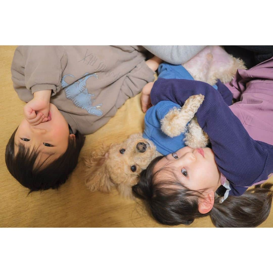 Ai.tさんのインスタグラム写真 - (Ai.tInstagram)「. 三兄弟👦🐶👧 . . 人にくっついてるのが好き👌 . . 私の展示会来てくれた方は見たかと思うんだけど、子どもたちのアルバムを毎月作るたびに見返しては、今の子どもたちも、もちろん大好きだけど 赤ちゃんのころの二人にもう一度会いたいなぁとうるうるしてしまう🥺 . ちなみにアルバムは「かぞくのきろく」ってアプリだよ😌 コメントもかけるから本当おすすめ👏👏 . .  #FUJIFILM #fujifilm_xseries #xt30 #今日もX日和 #tokyocameraclub #東京カメラ部 #photo #写真 #子どもの写真 #カメラ #ファインダー越しの私の世界 #何気ない瞬間を残したい #ママカメラ #RECO_ig #私の見る世界　#cuddlephoto #抱きしめたくなる写真 #かぞくのきろく」1月28日 22時09分 - ngs.rky.kuy