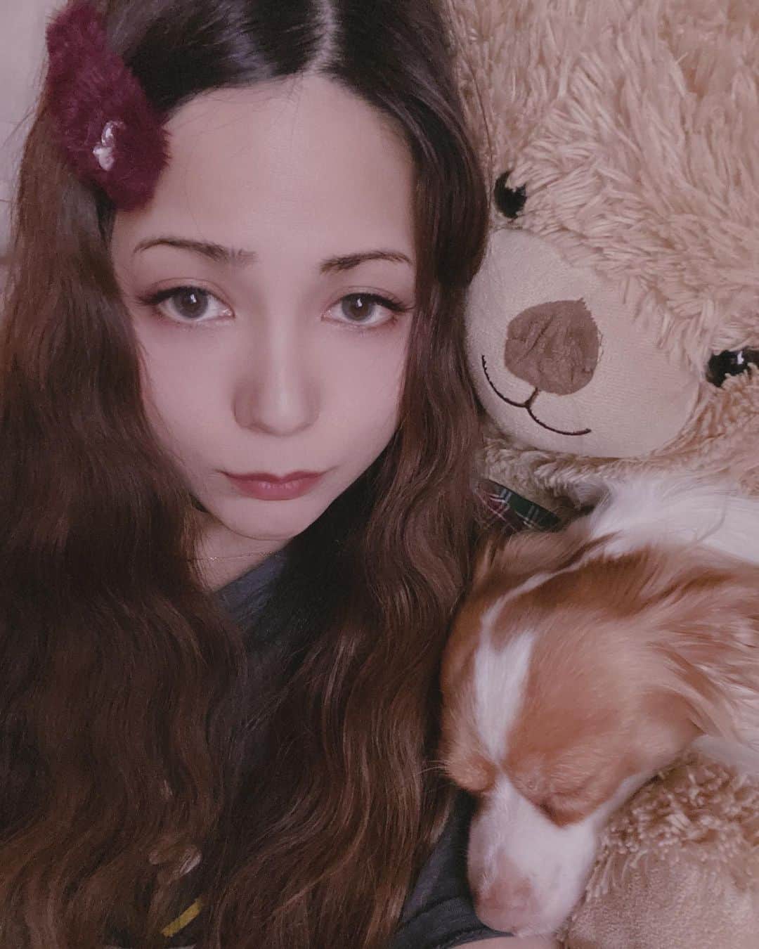 Arimeのインスタグラム：「前髪あるけどない風、ラビを添えて❤️ 前髪なしもたまにはいいな😏  #沖縄 #コロナに負けるな #bar700okinawa  #前髪アレンジ #わんこのいる生活 #arime」