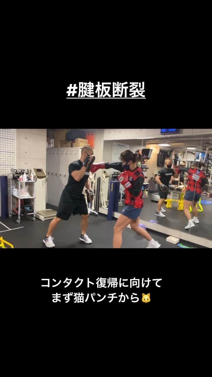 富田真紀子のインスタグラム：「#腱板断裂 #再断裂 #コンタクト復帰のためには #ボクシング  #ねこぱんちだけど #女子ラグビー」