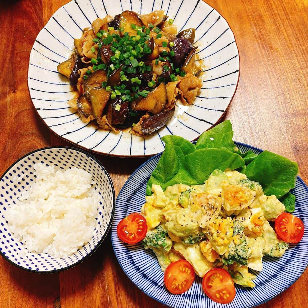 宮下純一さんのインスタグラム写真 - (宮下純一Instagram)「今日のメインは茄子とアボカド🥑🍆 茄子と豚肉の旨辛炒めとアボカドとブロッコリー🥦のサラダ🥗おうち時間皆さんは何作ってます？🍛#おうち時間 #茄子 #アボカド」1月28日 22時36分 - junichi1017